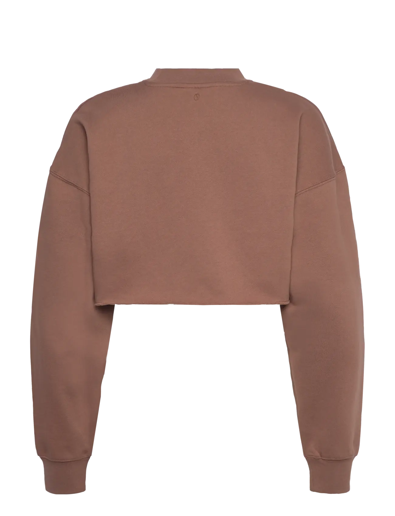 Björn Borg - STUDIO OVERSIZED CROPPED SWEATSHIRT - sport - acorn - 1