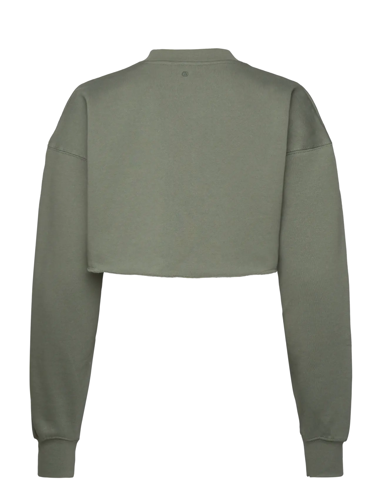 Björn Borg - STUDIO OVERSIZED CROPPED SWEATSHIRT - Överdelar - agave green - 1