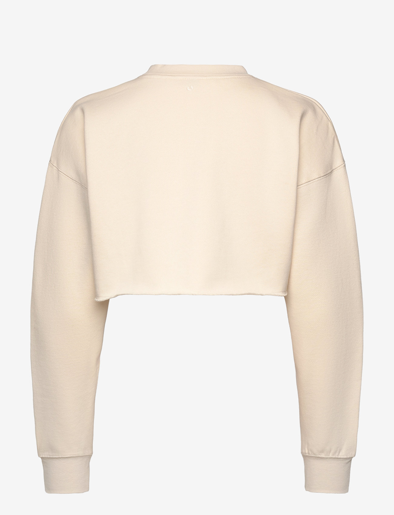 Björn Borg - STUDIO OVERSIZED CROPPED SWEATSHIRT - Överdelar - birch - 1