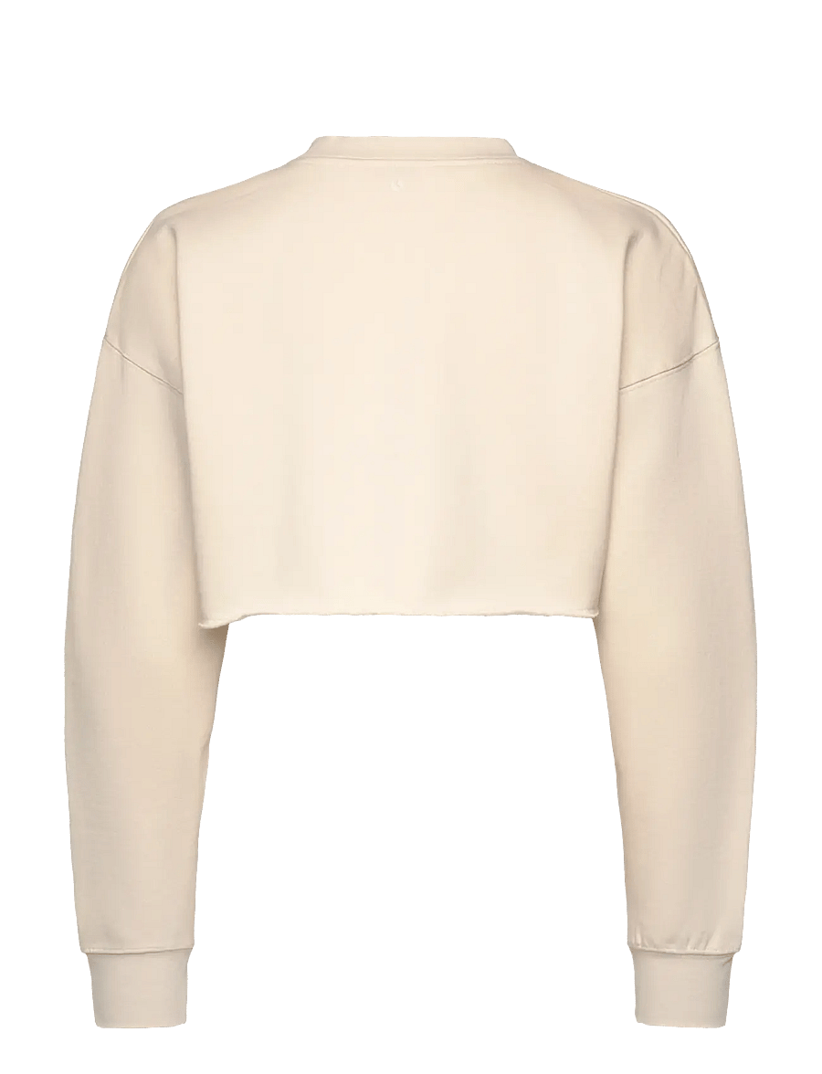 Björn Borg - STUDIO OVERSIZED CROPPED SWEATSHIRT - Överdelar - birch - 1