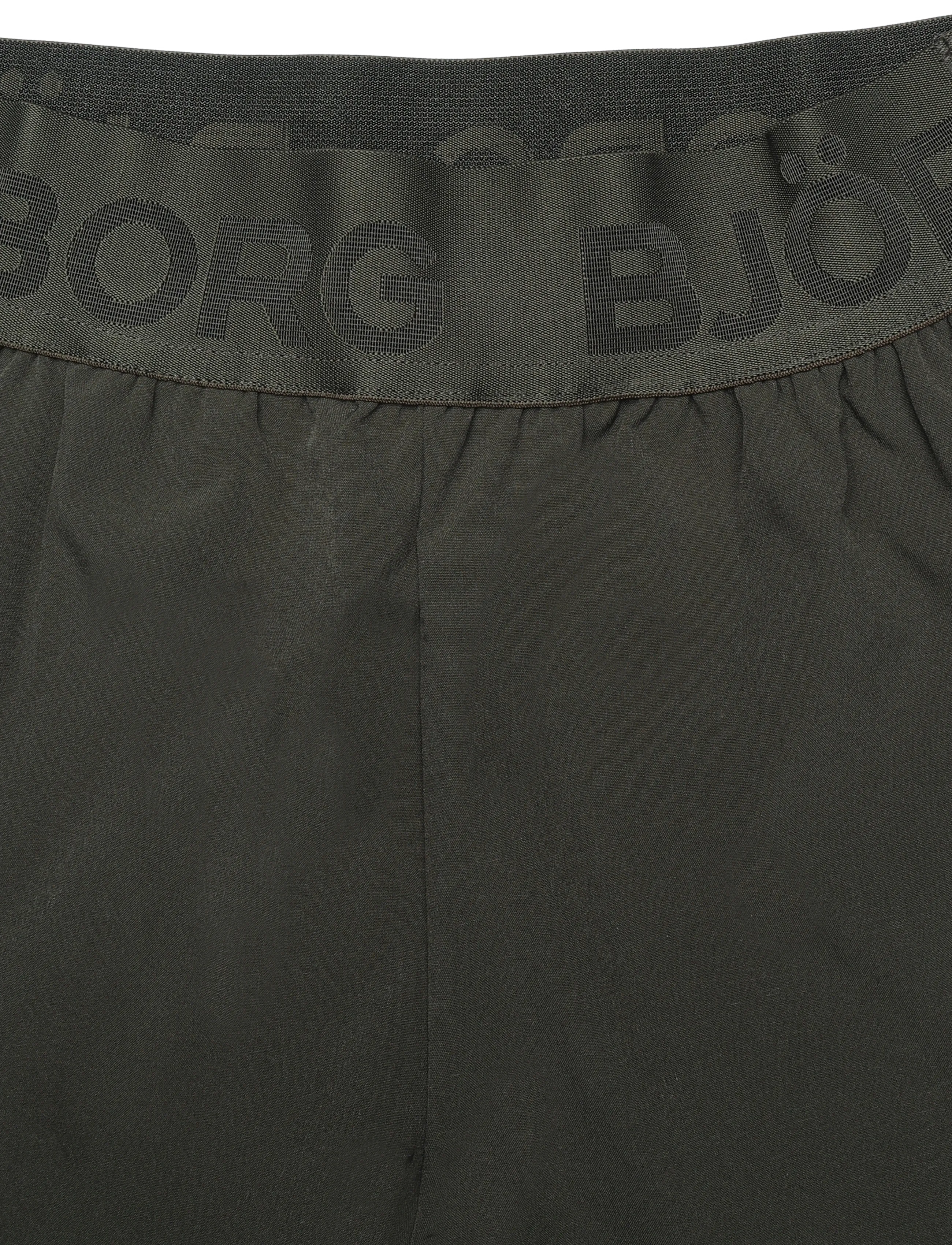 Björn Borg - BORG SHORTS - lühikesed spordipüksid - forest night - 2