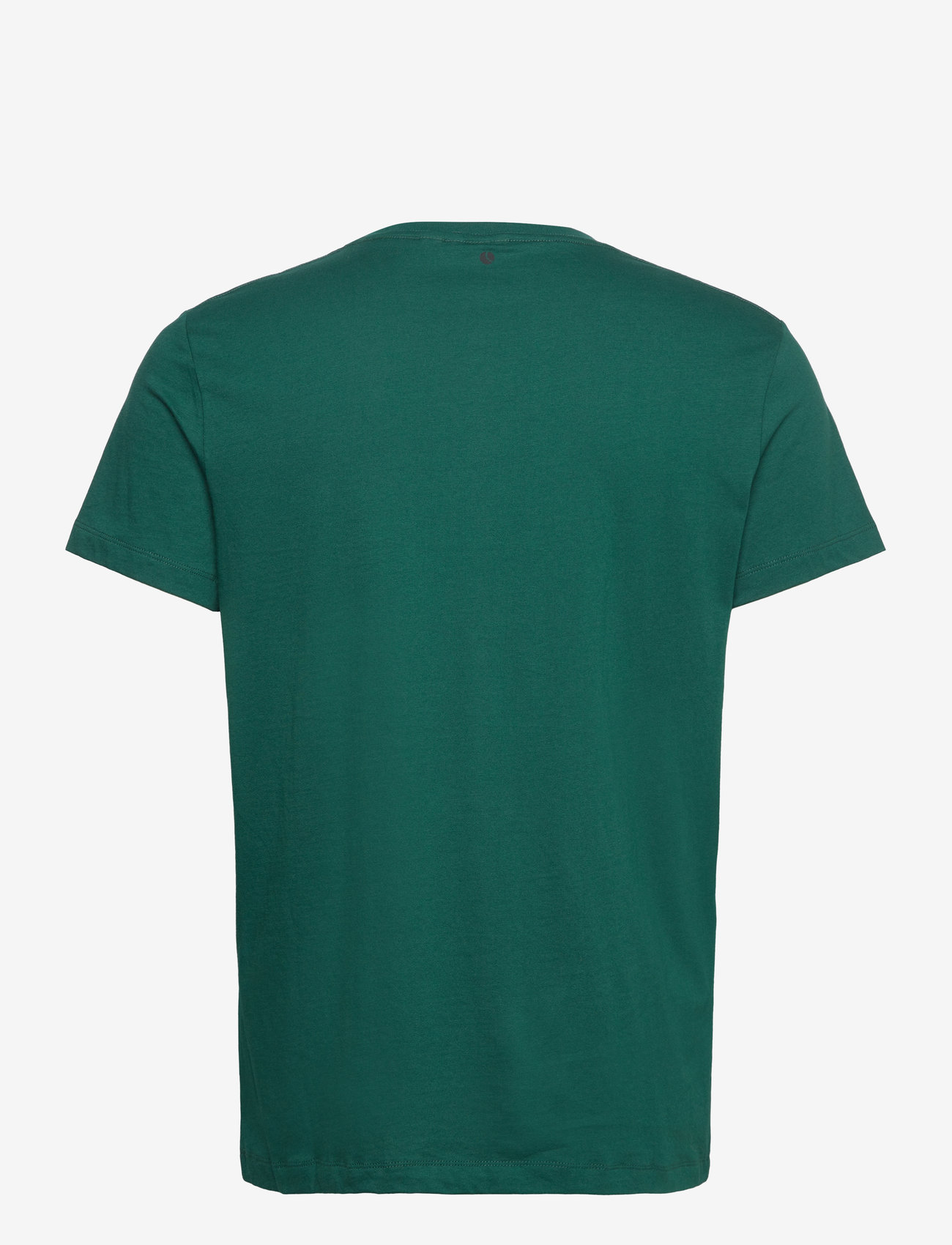 Björn Borg - BORG ESSENTIAL 1 T-SHIRT - t-särgid - forest biome - 1