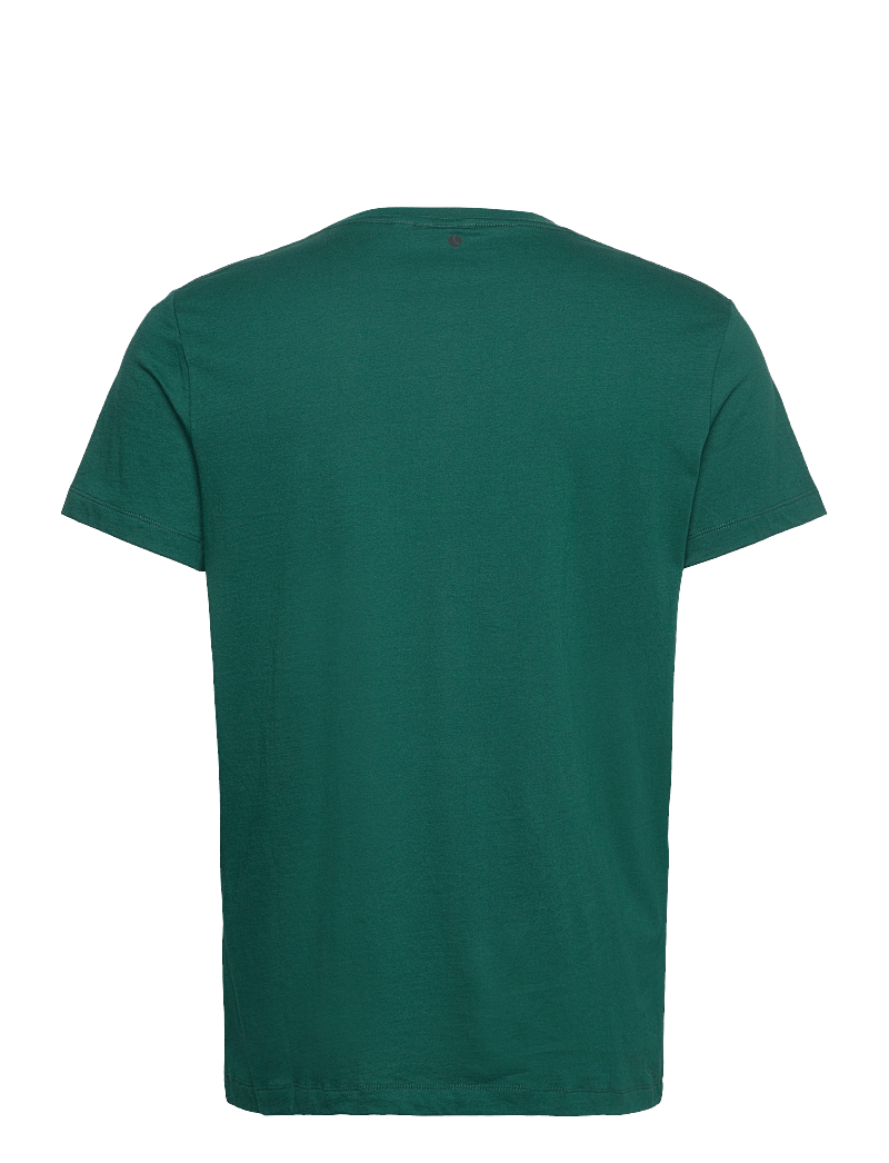 Björn Borg - BORG ESSENTIAL 1 T-SHIRT - t-särgid - forest biome - 1