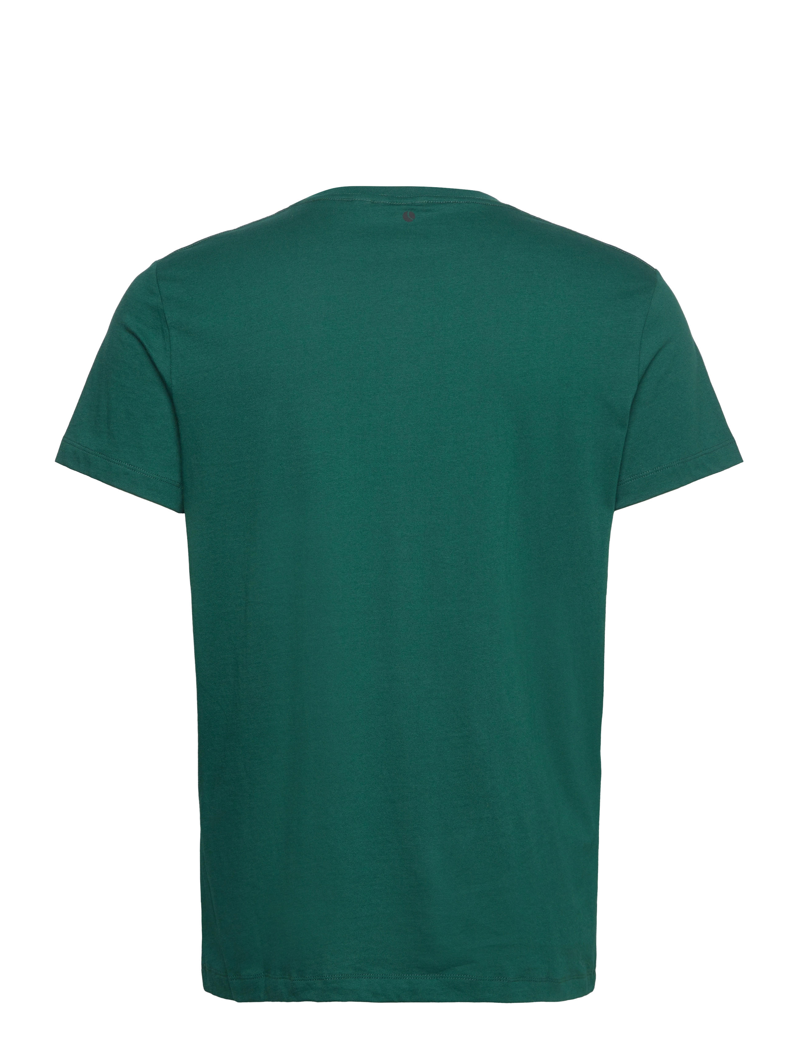 Björn Borg - BORG ESSENTIAL 1 T-SHIRT - forest biome - 1