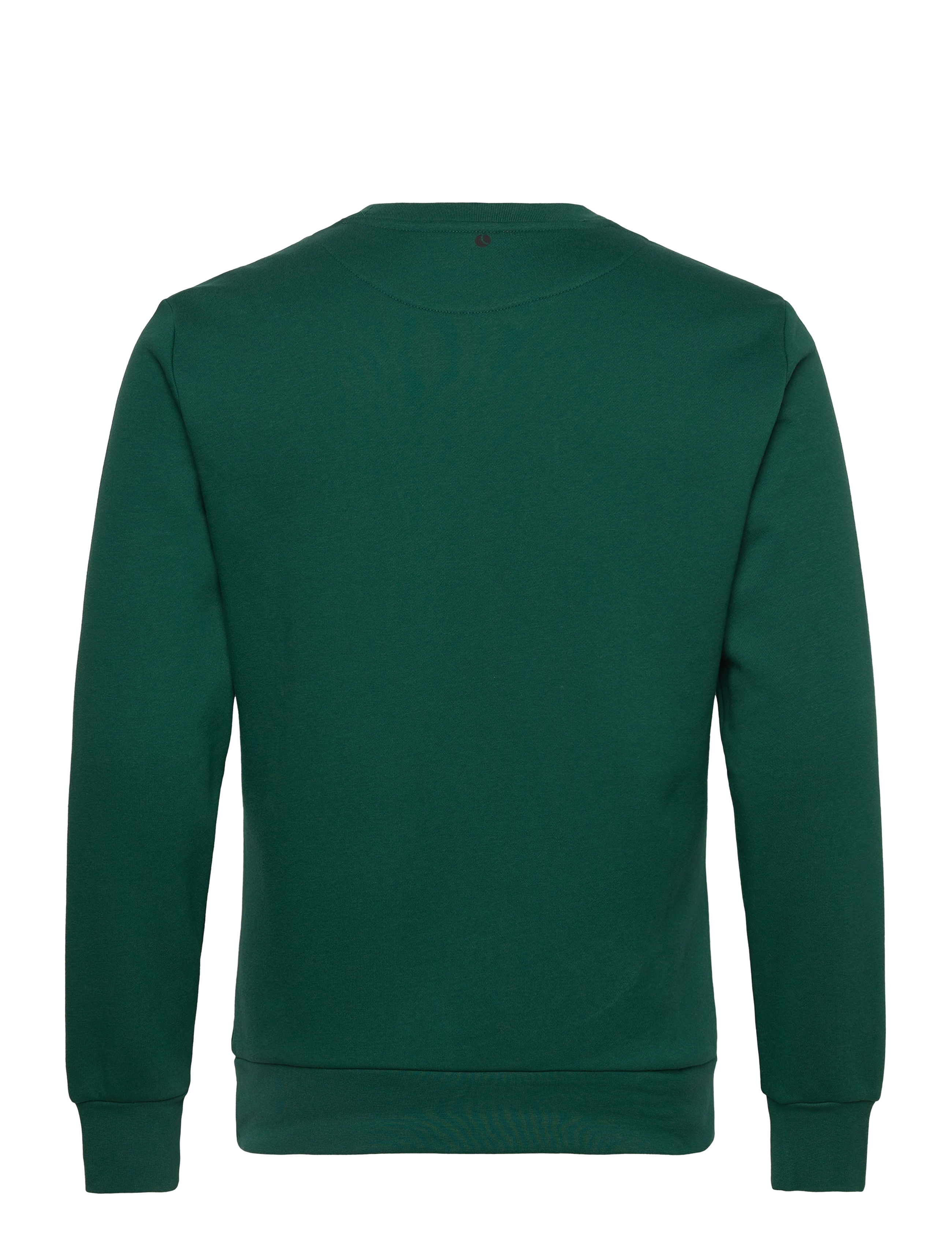 Björn Borg - BORG ESSENTIAL 1 SWEATSHIRT - forest biome - 1