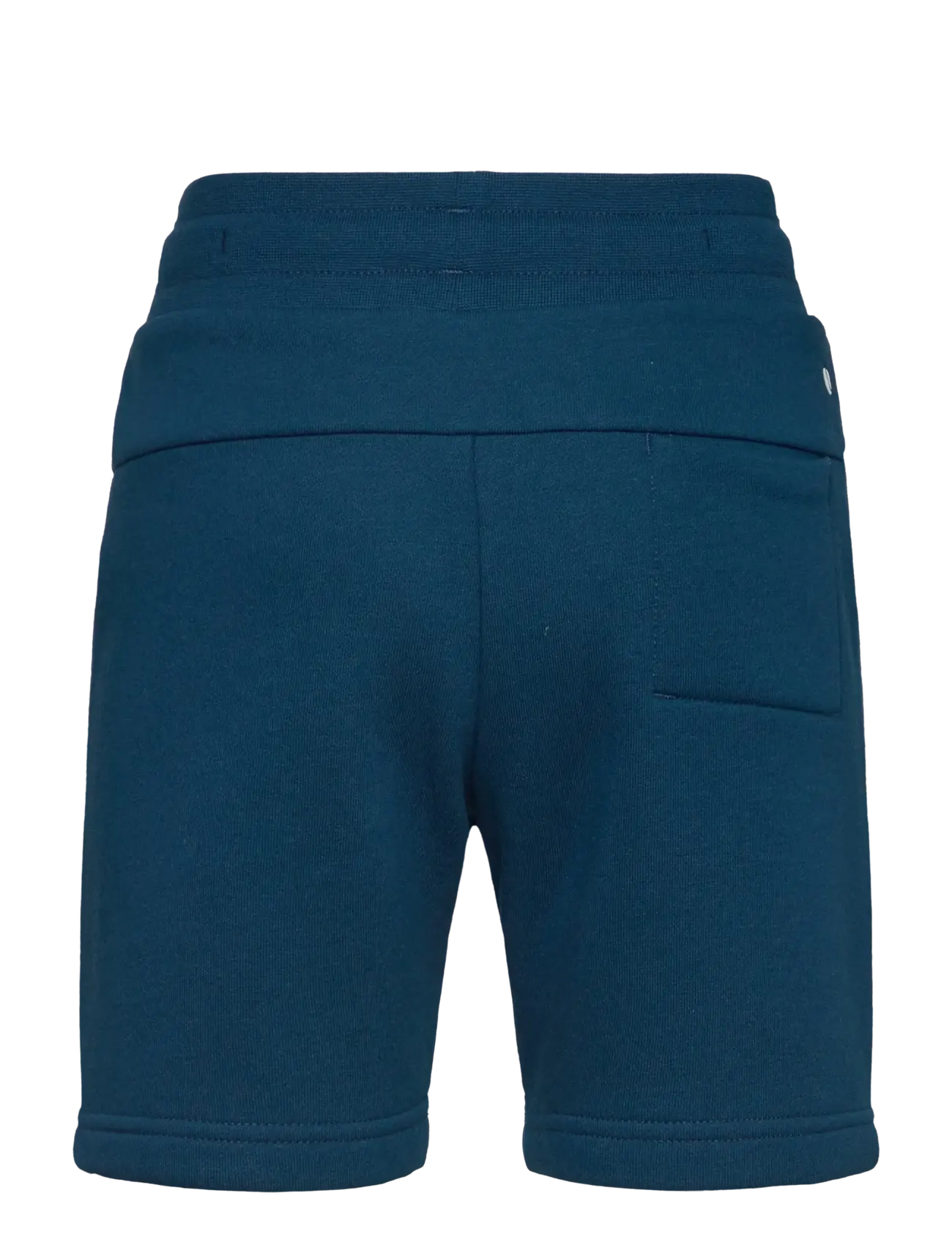 Björn Borg - BORG ESSENTIAL 3 SWEATSHORTS - gibraltar sea - 1