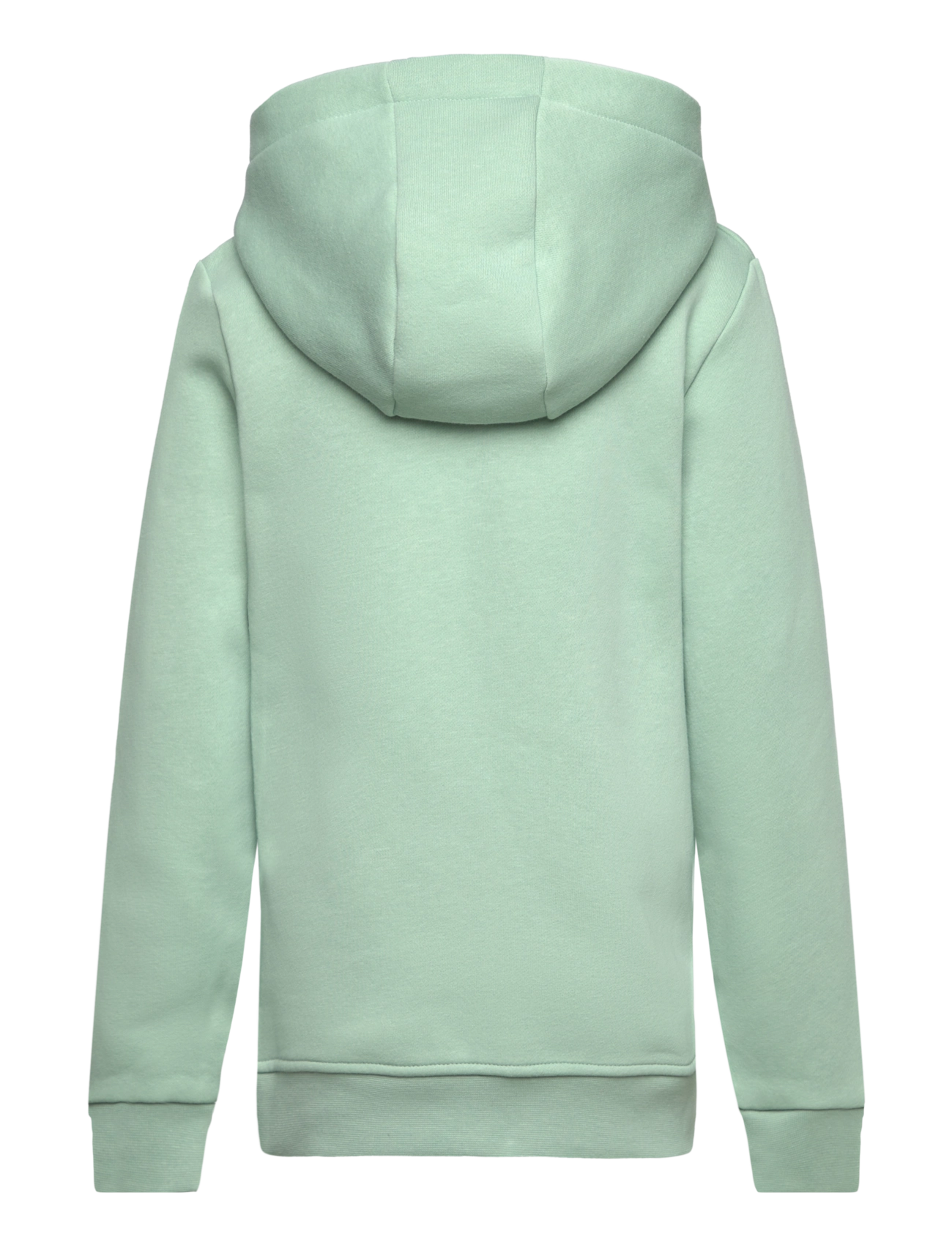 Björn Borg - BORG ESSENTIAL 3 HOODIE - hættetrøjer - frosty green - 1