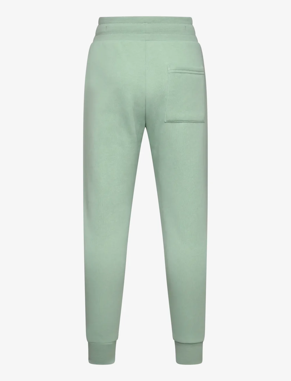 Björn Borg - BORG ESSENTIAL 3 SWEATPANTS - dressipüksid - frosty green - 1