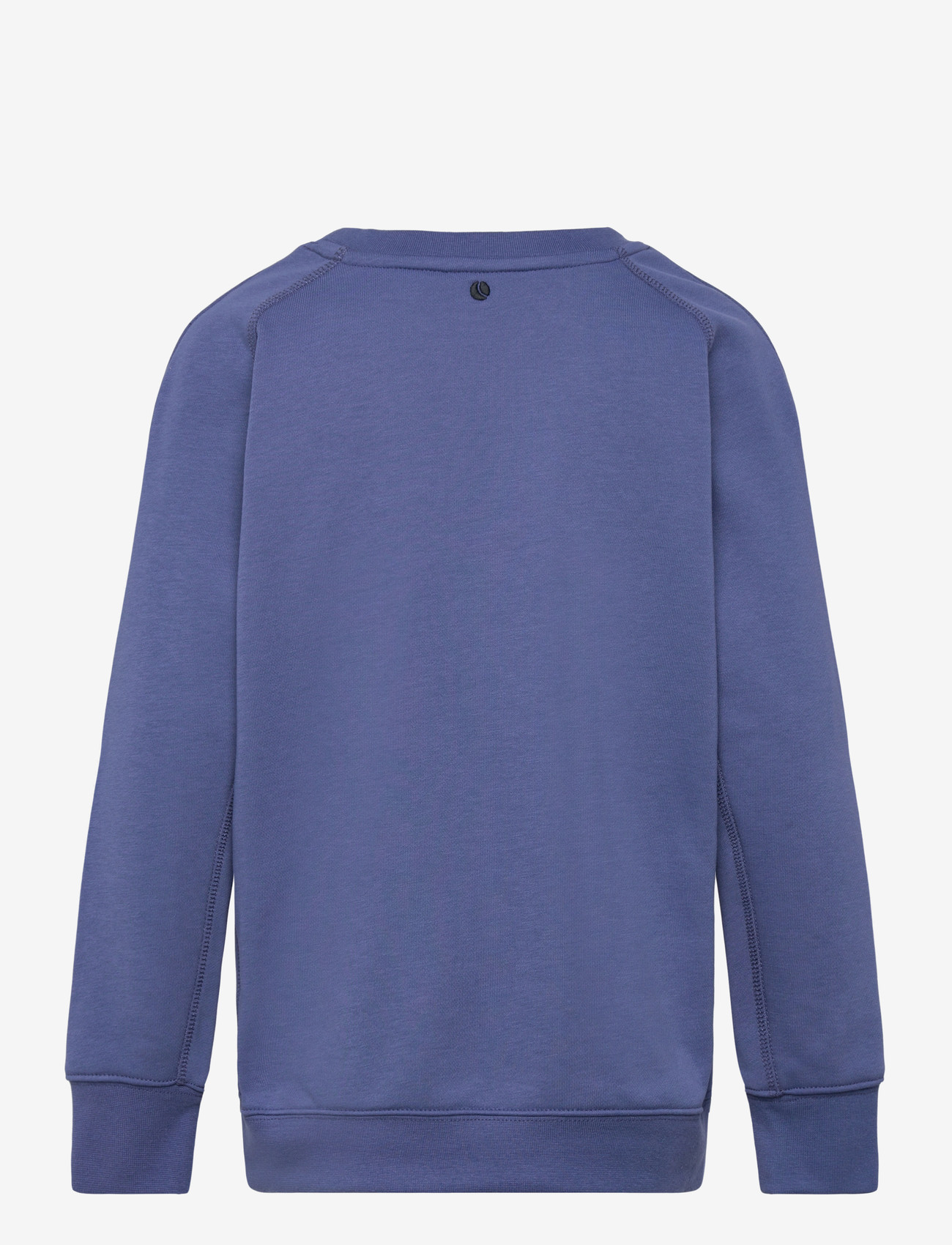 Björn Borg - BORG ESSENTIAL 4 SWEATSHIRT - sweatshirts - coastal fjord - 1