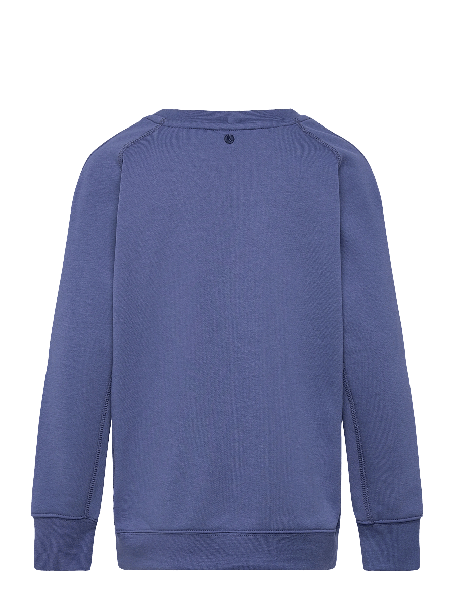 Björn Borg - BORG ESSENTIAL 4 SWEATSHIRT - sweatshirts - coastal fjord - 1