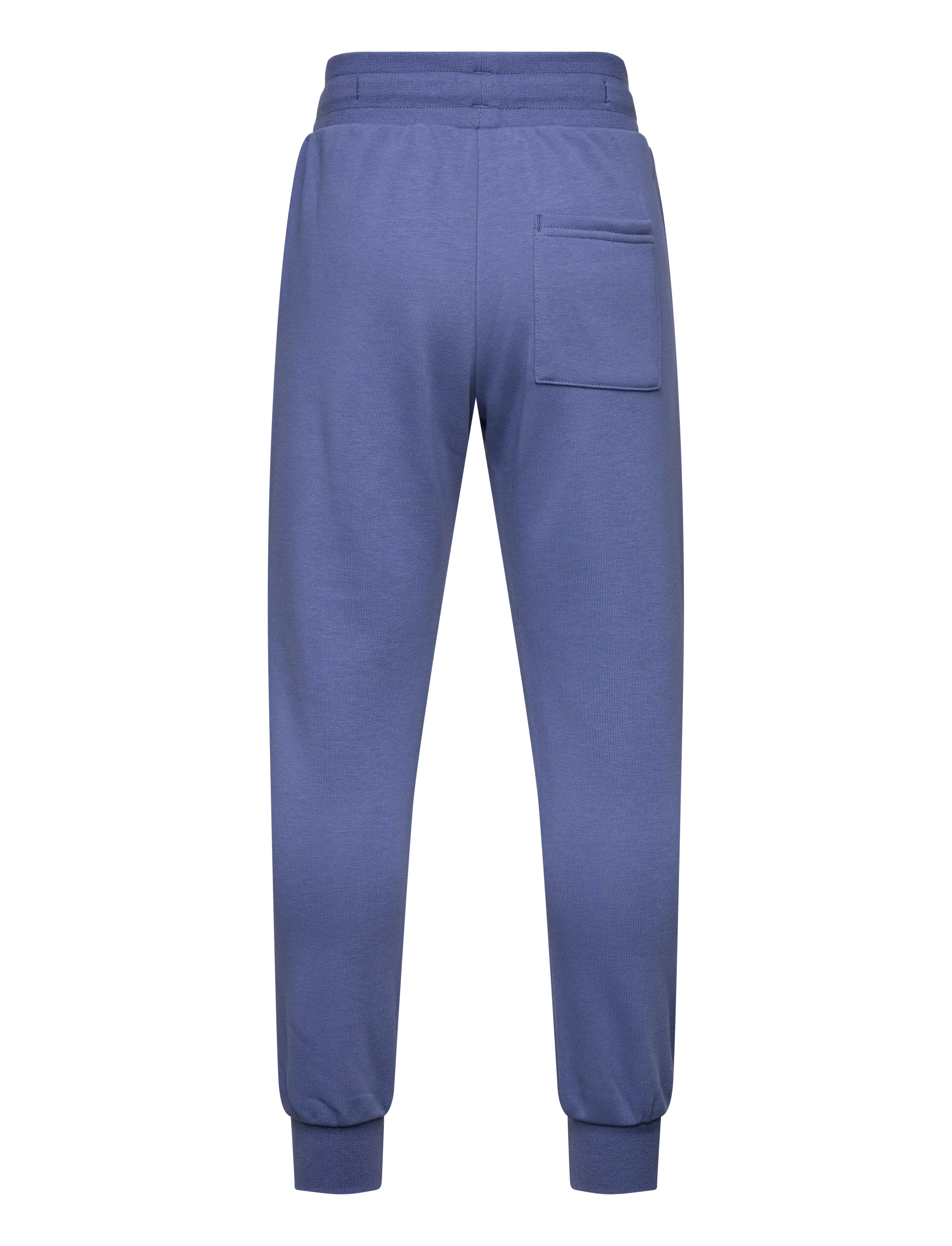 Björn Borg - BORG ESSENTIAL 4 SWEATPANTS - sportines kelnaites - coastal fjord - 1