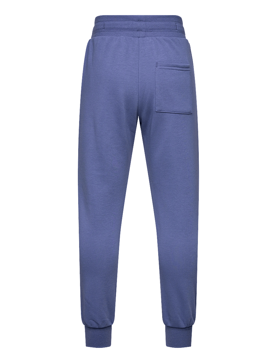 Björn Borg - BORG ESSENTIAL 4 SWEATPANTS - dressipüksid - coastal fjord - 1