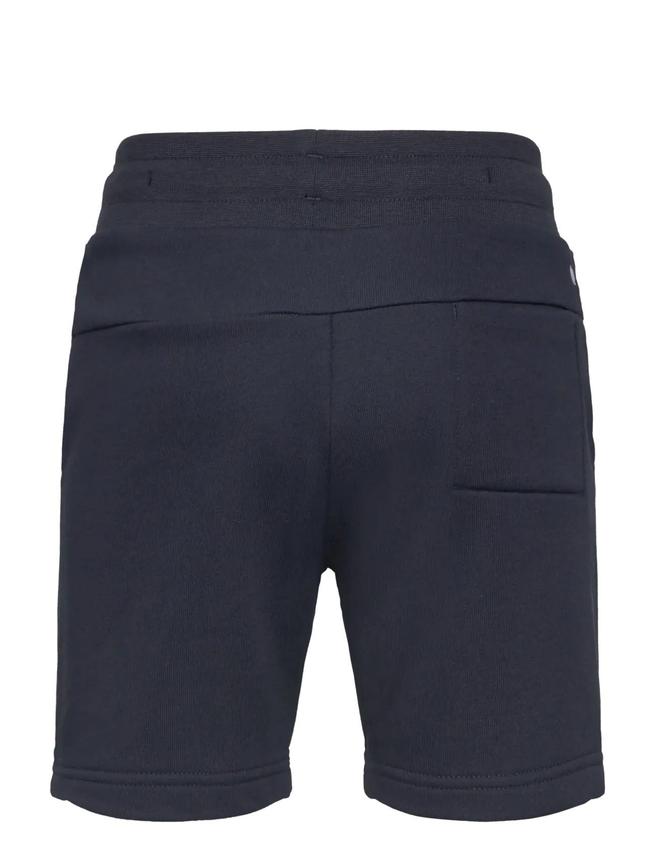 Björn Borg - BORG ESSENTIAL 4 SWEATSHORTS - lühikesed dressipüksid - night sky - 1
