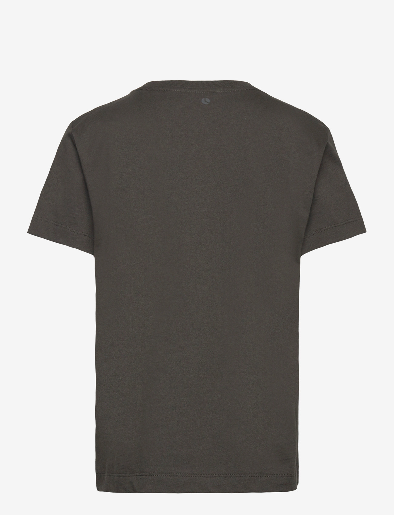 Björn Borg - BORG ESSENTIAL 1 T-SHIRT - kortärmade t-shirts - peat - 1