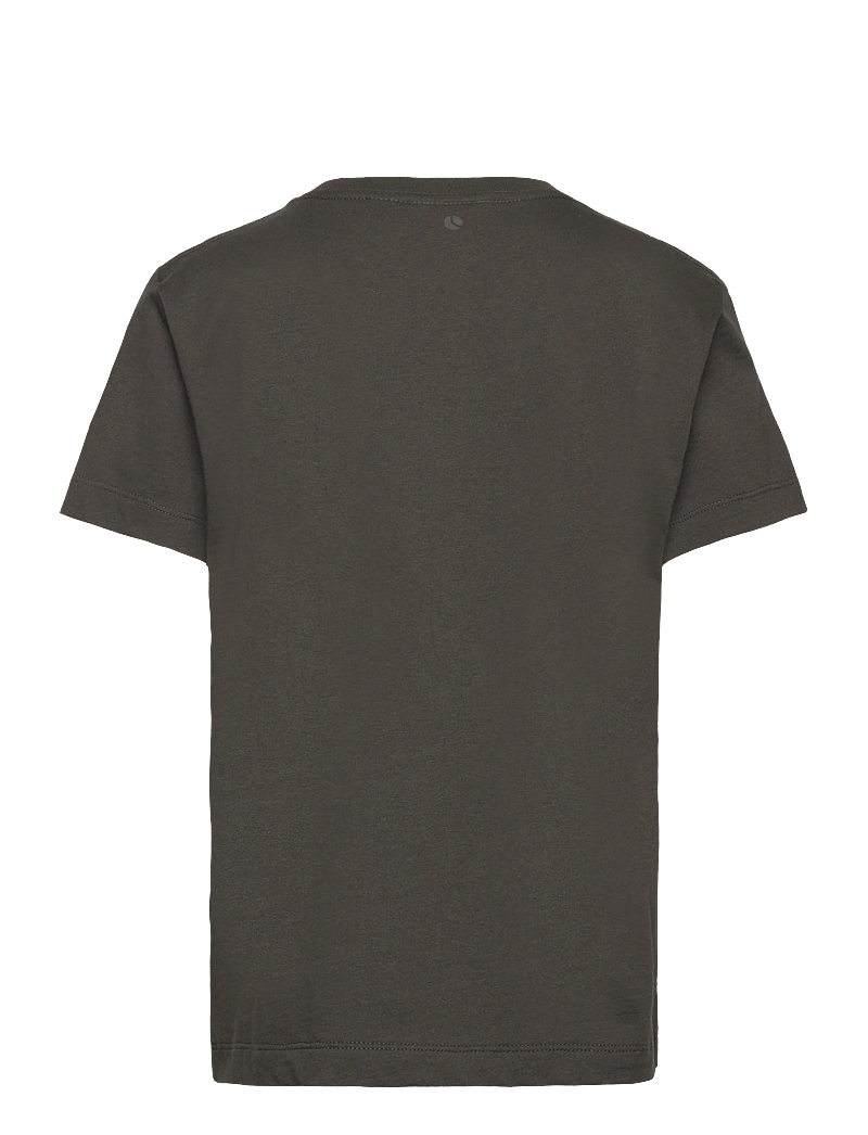 Björn Borg - BORG ESSENTIAL 1 T-SHIRT - kortärmade t-shirts - peat - 1