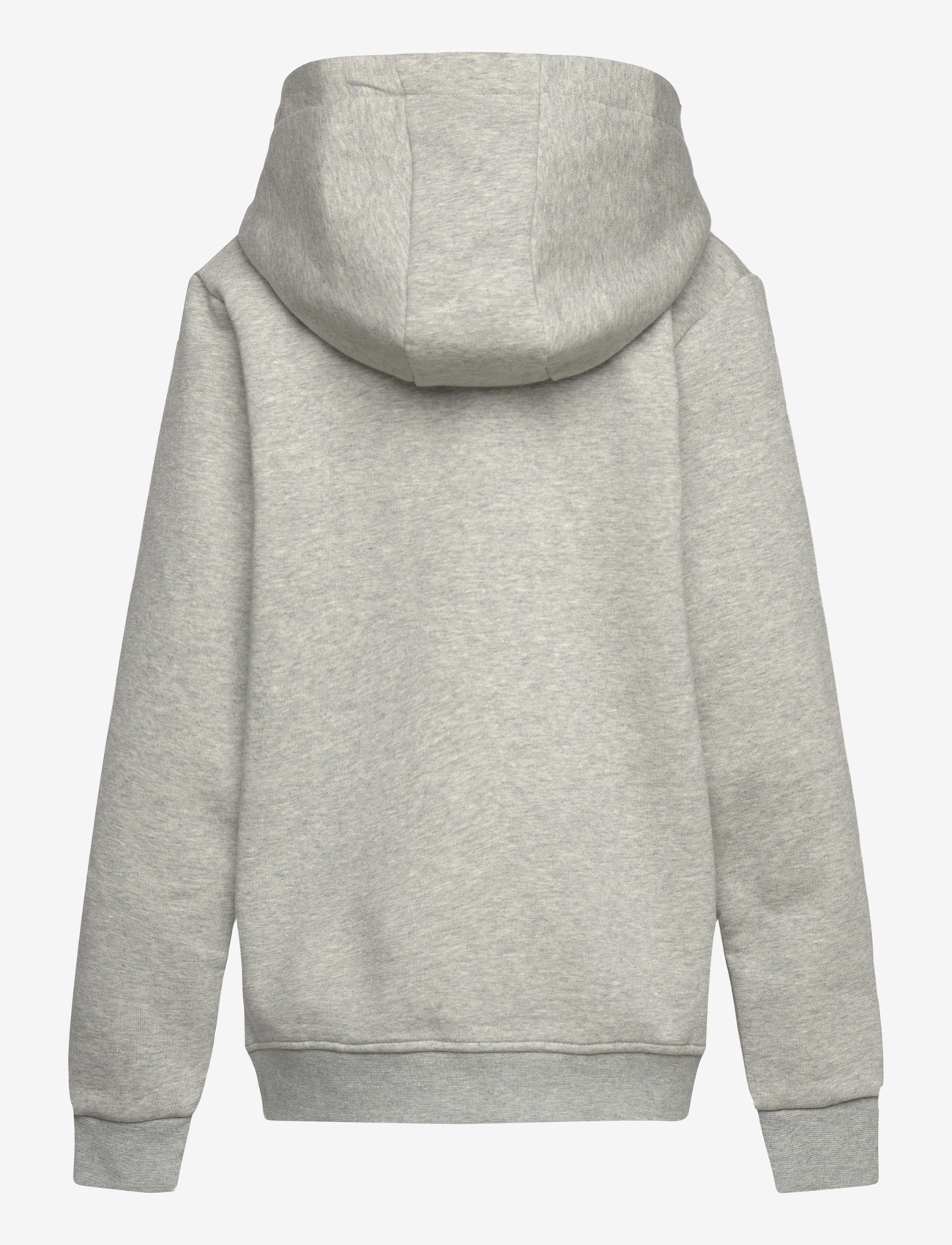 Björn Borg - BORG ESSENTIAL 1 HOODIE - kapuutsiga dressipluusid - light grey melange - 1
