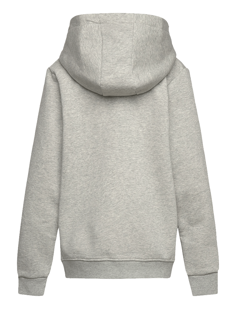 Björn Borg - BORG ESSENTIAL 1 HOODIE - kapuzenpullover - light grey melange - 1