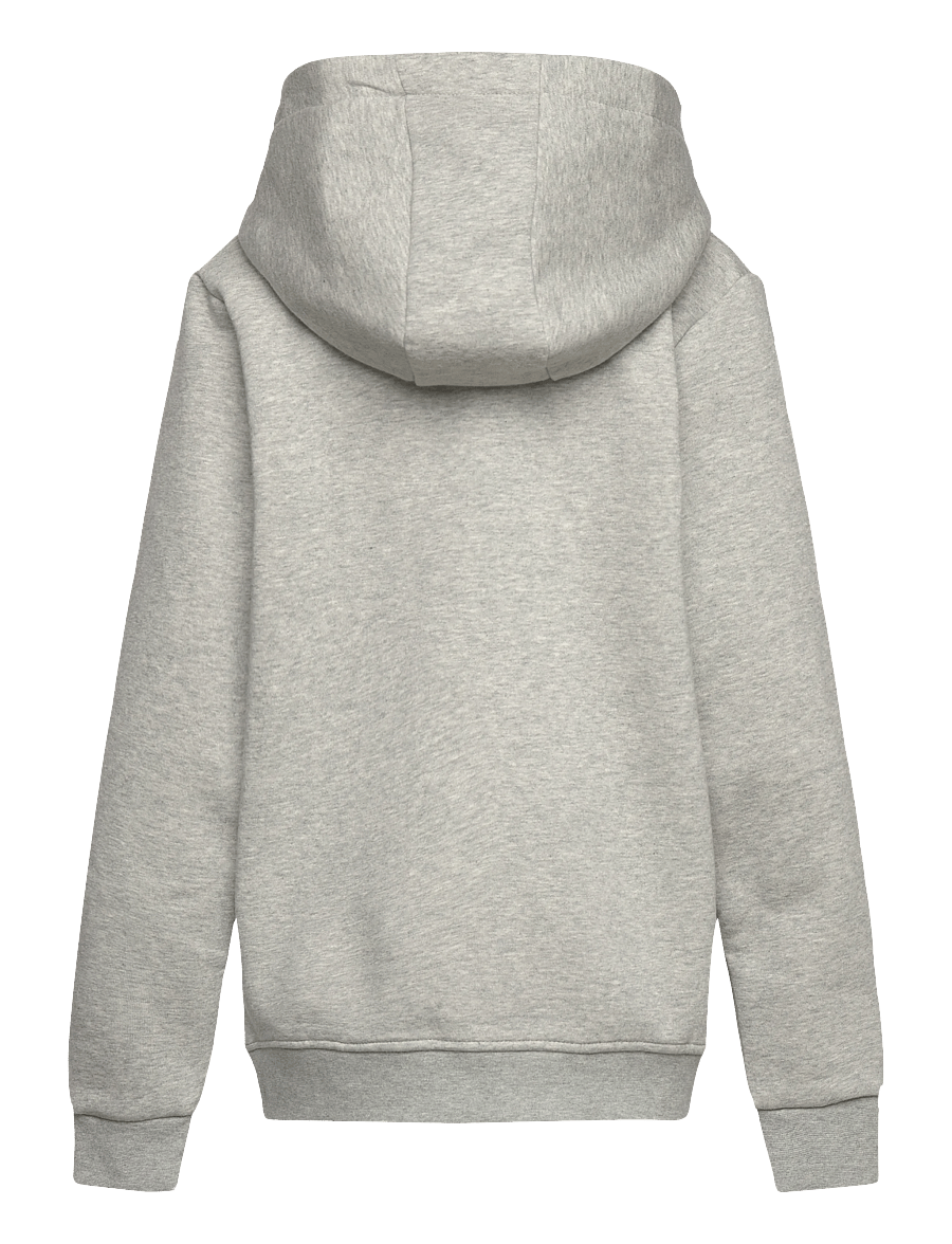 Björn Borg - BORG ESSENTIAL 1 HOODIE - kapuzenpullover - light grey melange - 1