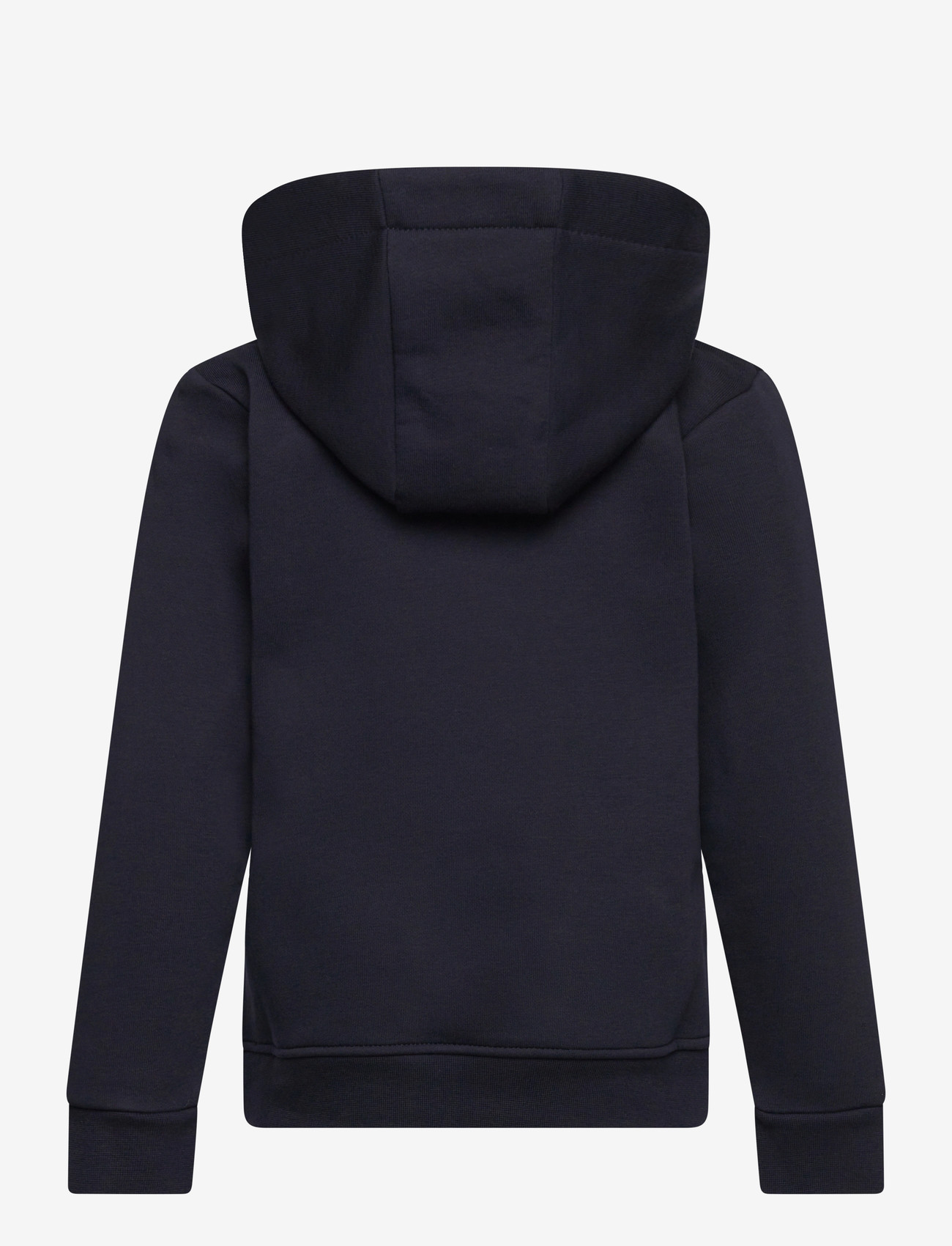 Björn Borg - BORG ESSENTIAL 1 HOODIE - kapuzenpullover - night sky - 1