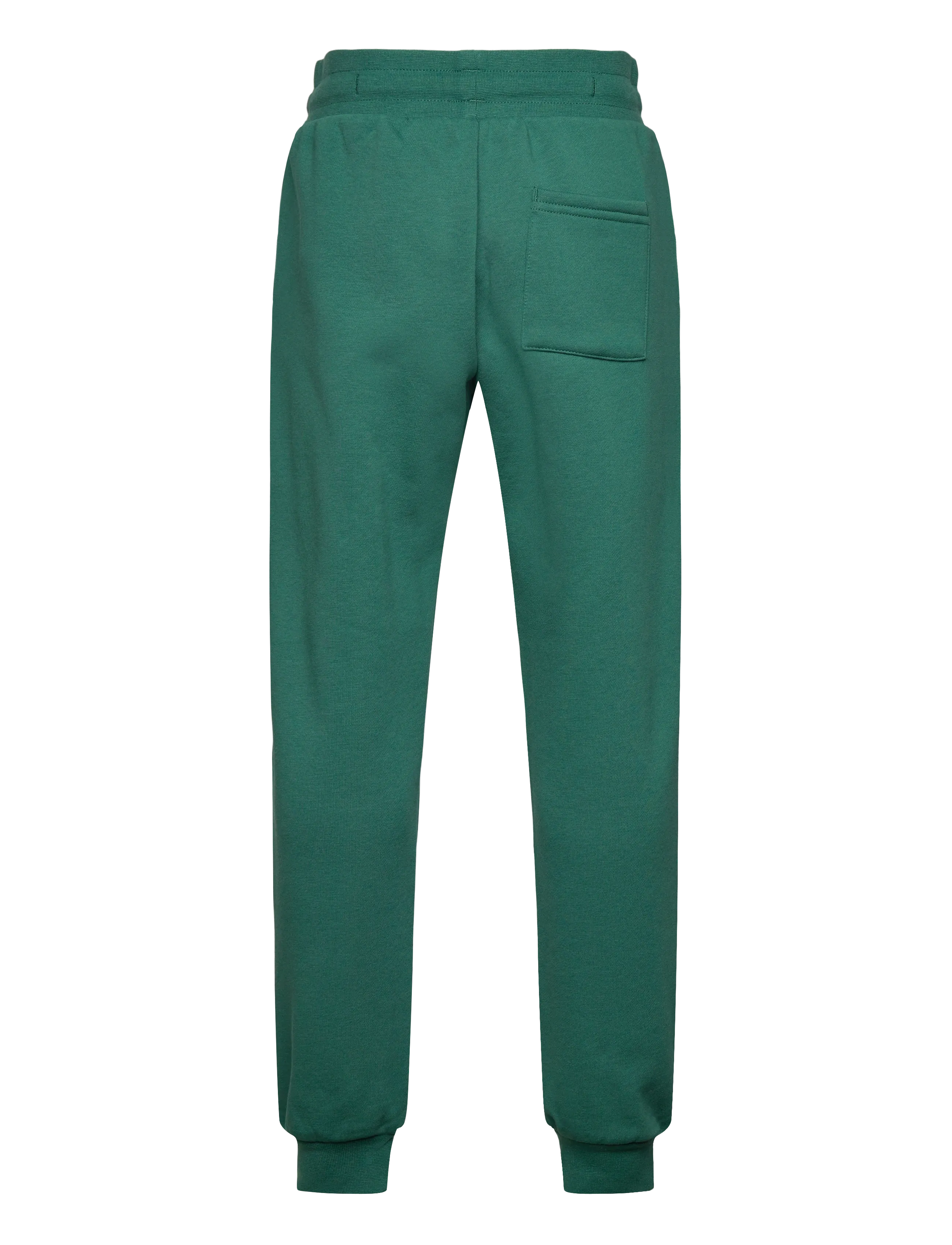 Björn Borg - BORG ESSENTIAL 1 TAPERED SWEATPANTS - dressipüksid - posy green - 1
