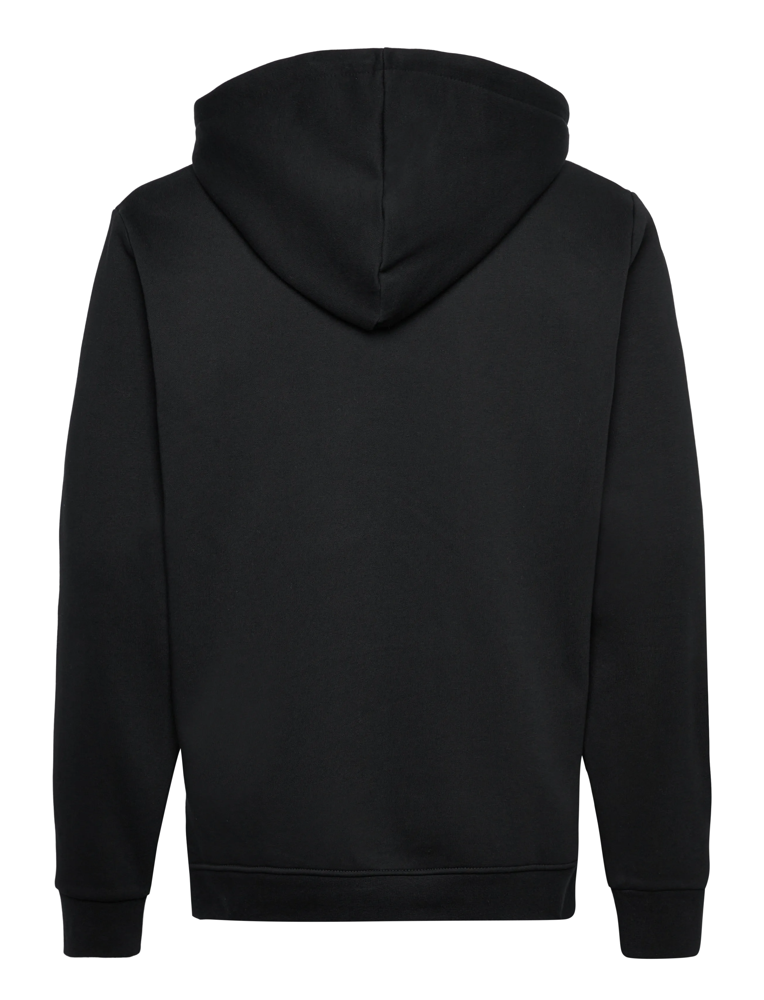 Björn Borg - BORG ESSENTIAL 1 HOODIE - tops - black beauty - 2