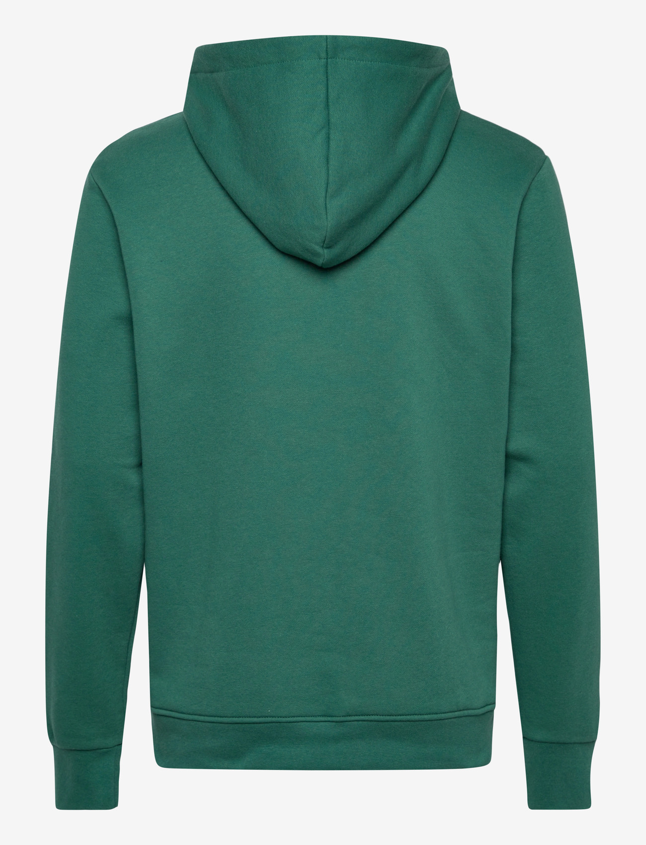 Björn Borg - BORG ESSENTIAL 1 HOODIE - overdele - posy green - 2