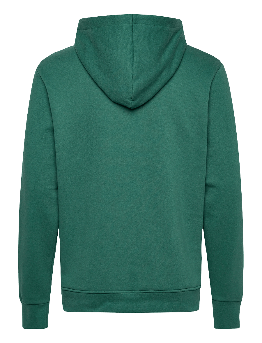 Björn Borg - BORG ESSENTIAL 1 HOODIE - overdele - posy green - 2