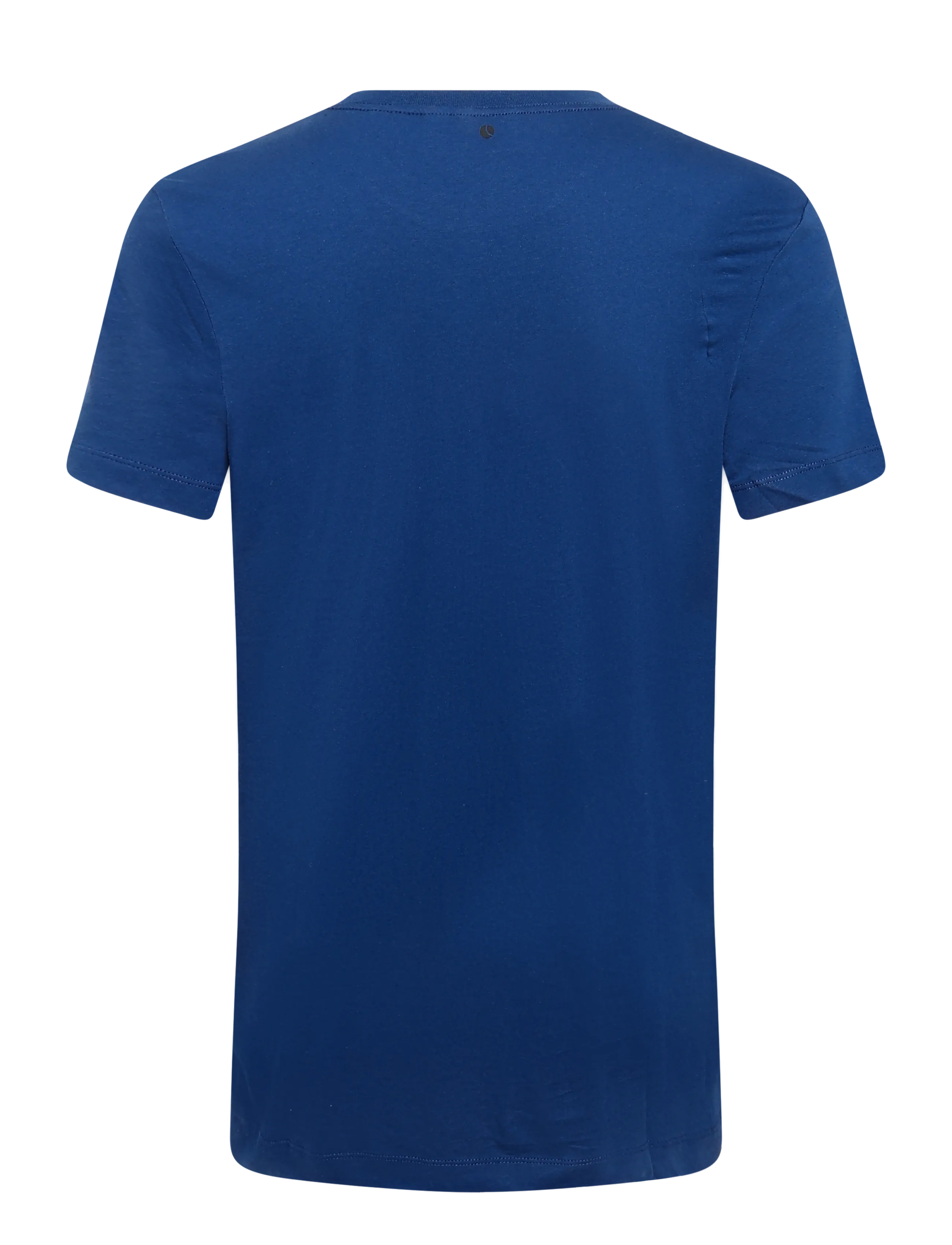 Björn Borg - BORG ESSENTIAL 1 T-SHIRT - oberteile & t-shirts - estate blue - 1