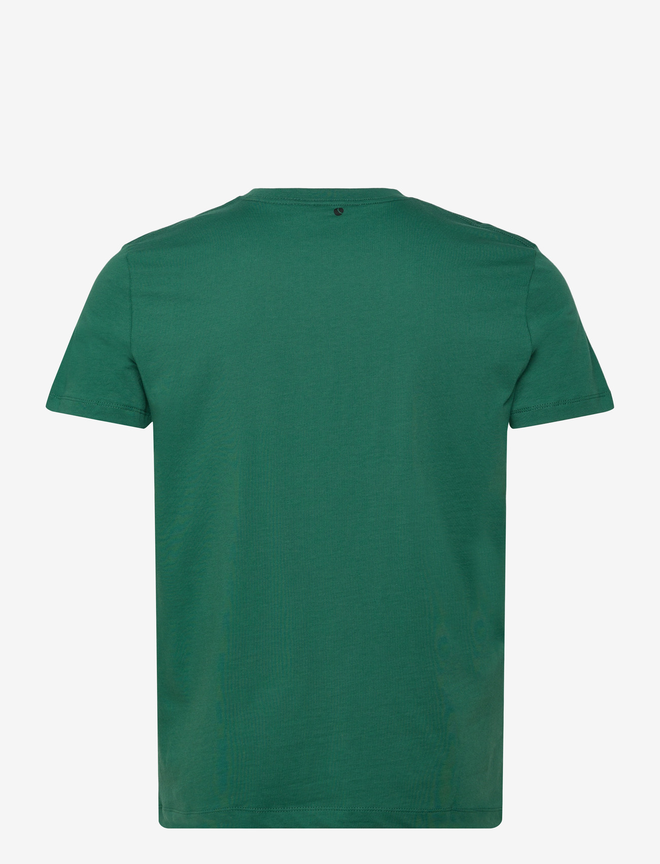 Björn Borg - BORG ESSENTIAL 1 T-SHIRT - t-shirts - posy green - 1