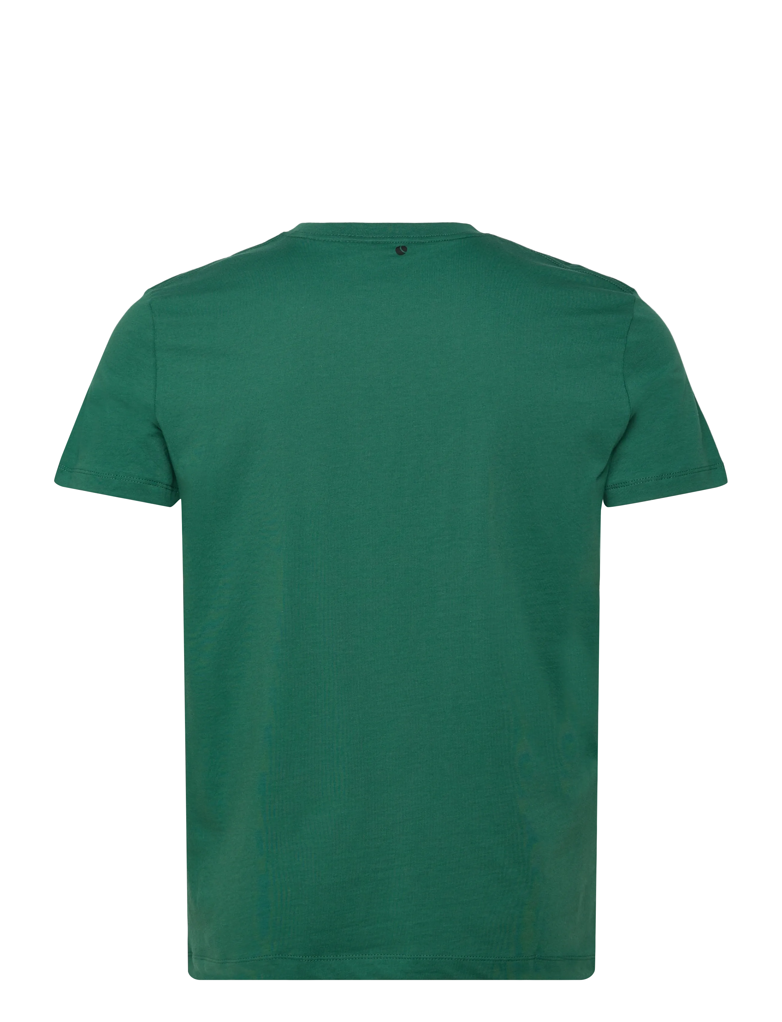 Björn Borg - BORG ESSENTIAL 1 T-SHIRT - oberteile & t-shirts - posy green - 1