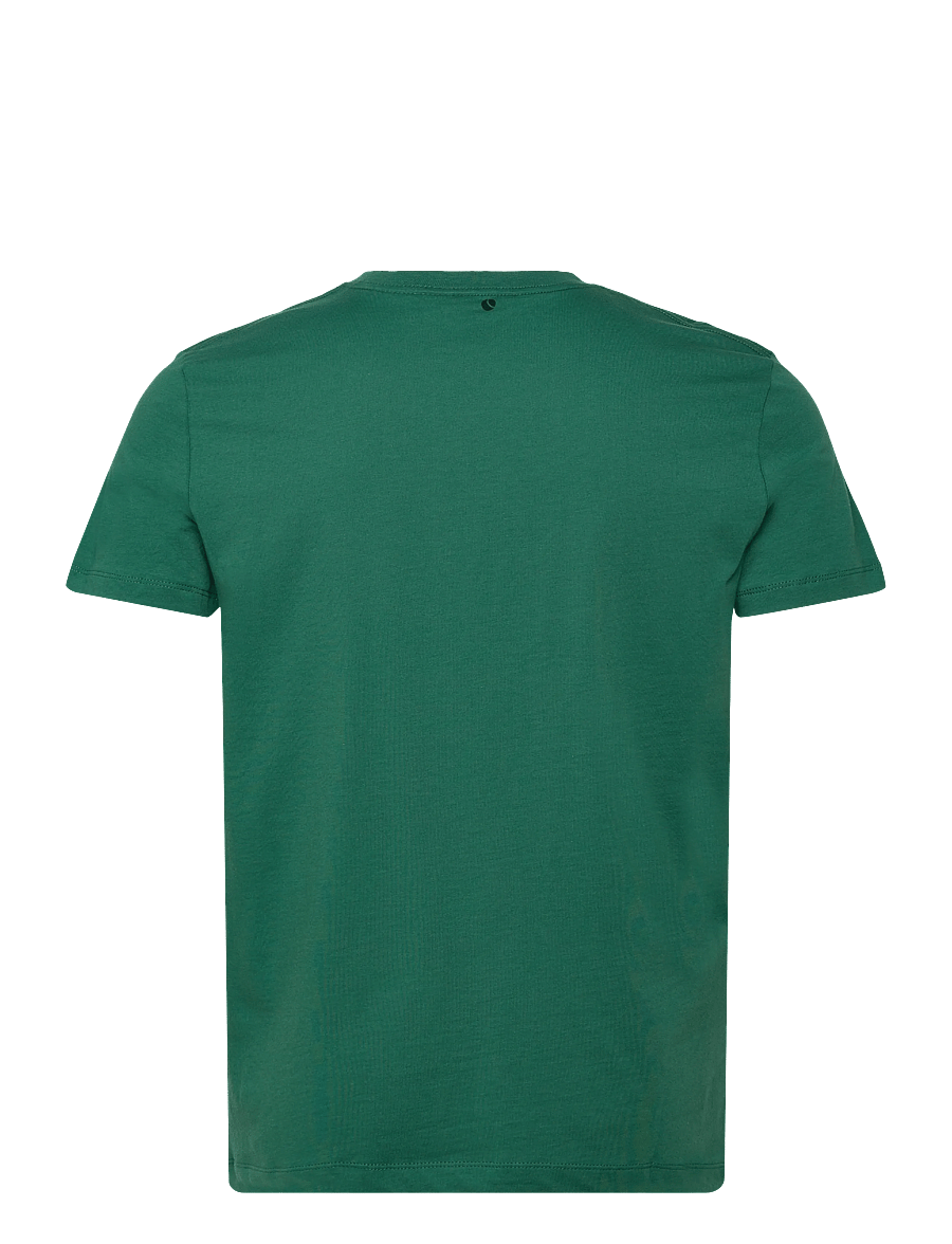 Björn Borg - BORG ESSENTIAL 1 T-SHIRT - t-shirts - posy green - 1