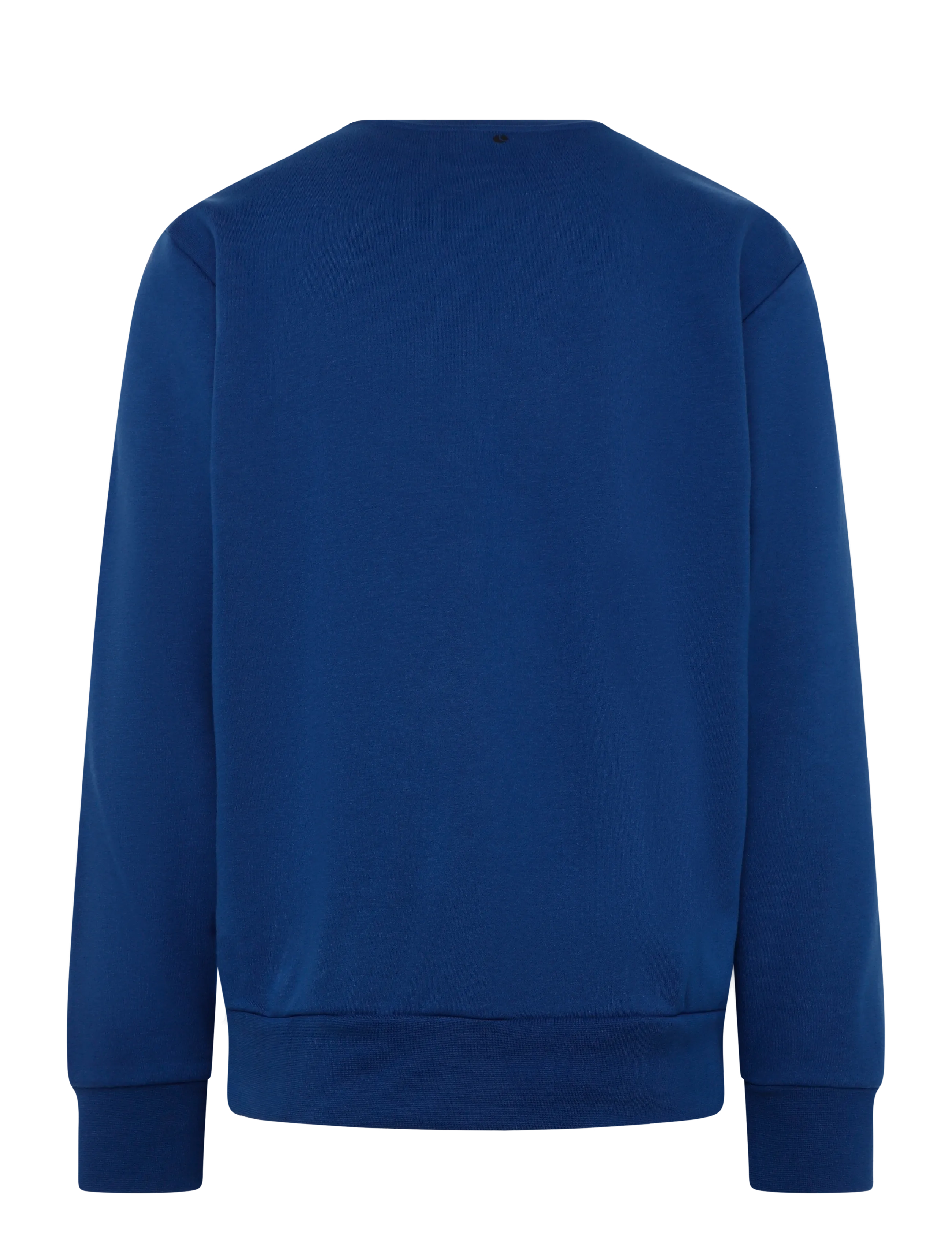 Björn Borg - BORG ESSENTIAL 1 SWEATSHIRT - tops - estate blue - 1