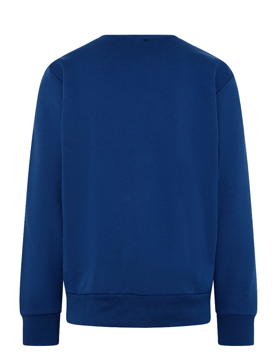Björn Borg - BORG ESSENTIAL 1 SWEATSHIRT - tops - estate blue - 1