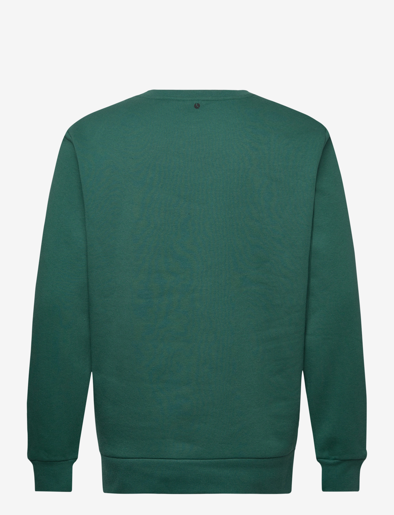 Björn Borg - BORG ESSENTIAL 1 SWEATSHIRT - overdele - posy green - 1