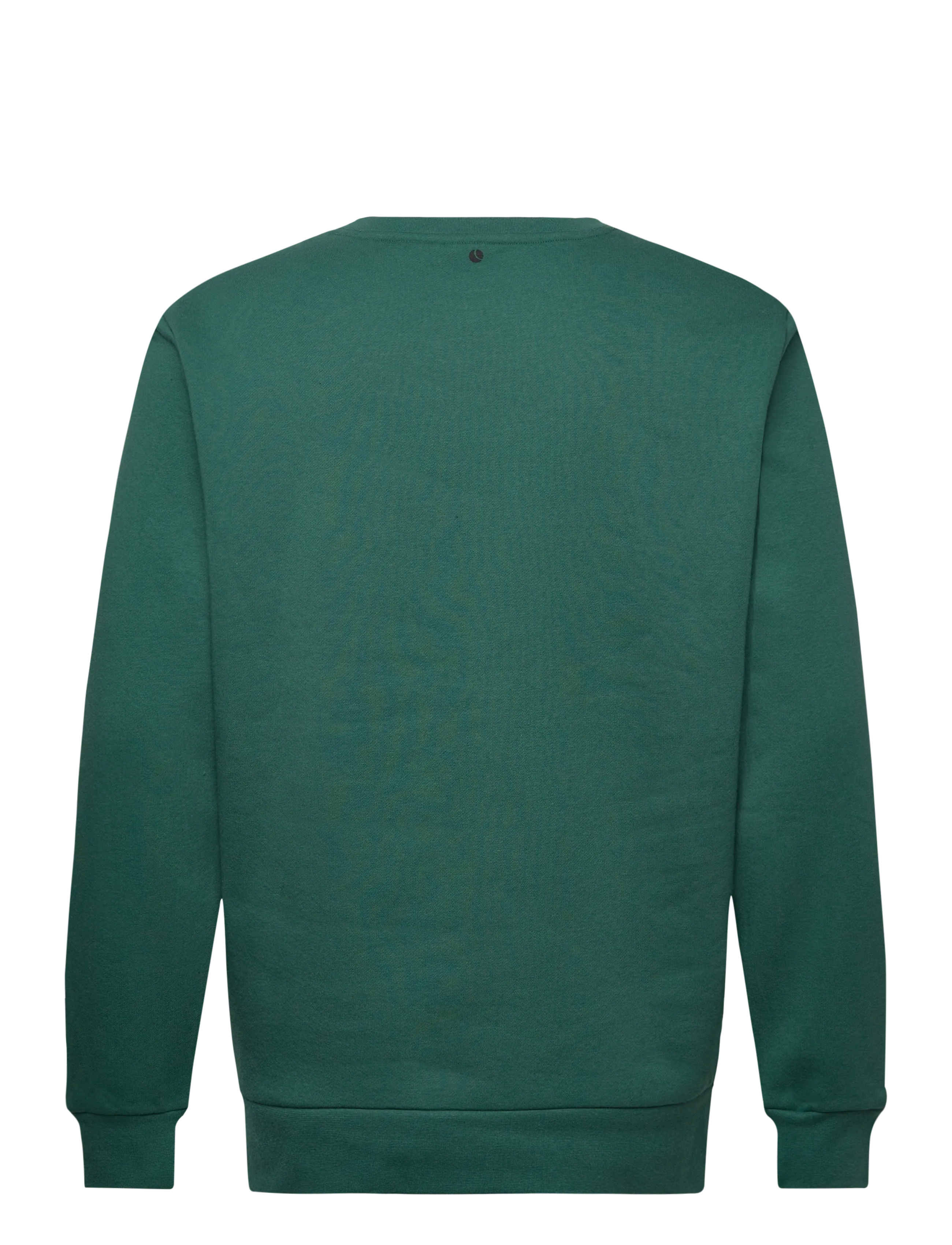 Björn Borg - BORG ESSENTIAL 1 SWEATSHIRT - oberteile - posy green - 1