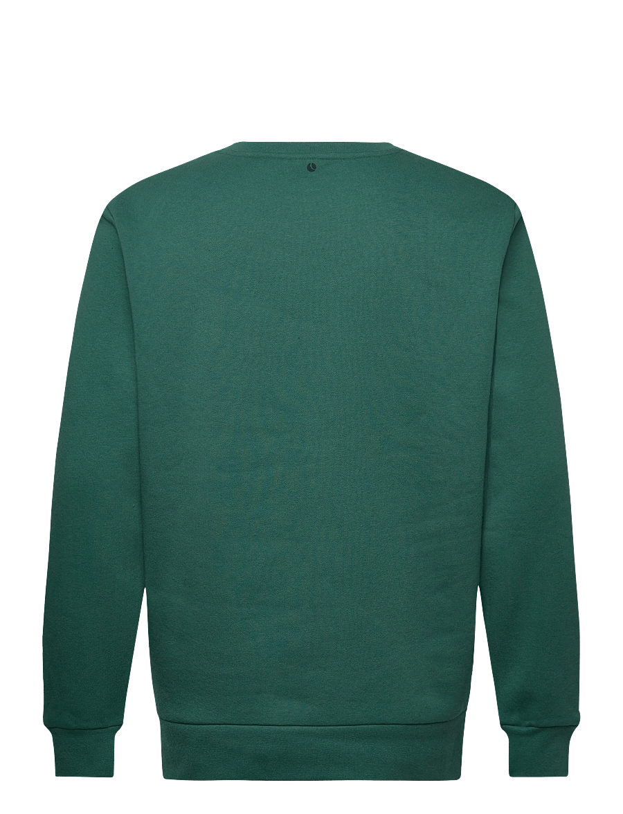 Björn Borg - BORG ESSENTIAL 1 SWEATSHIRT - oberteile - posy green - 1