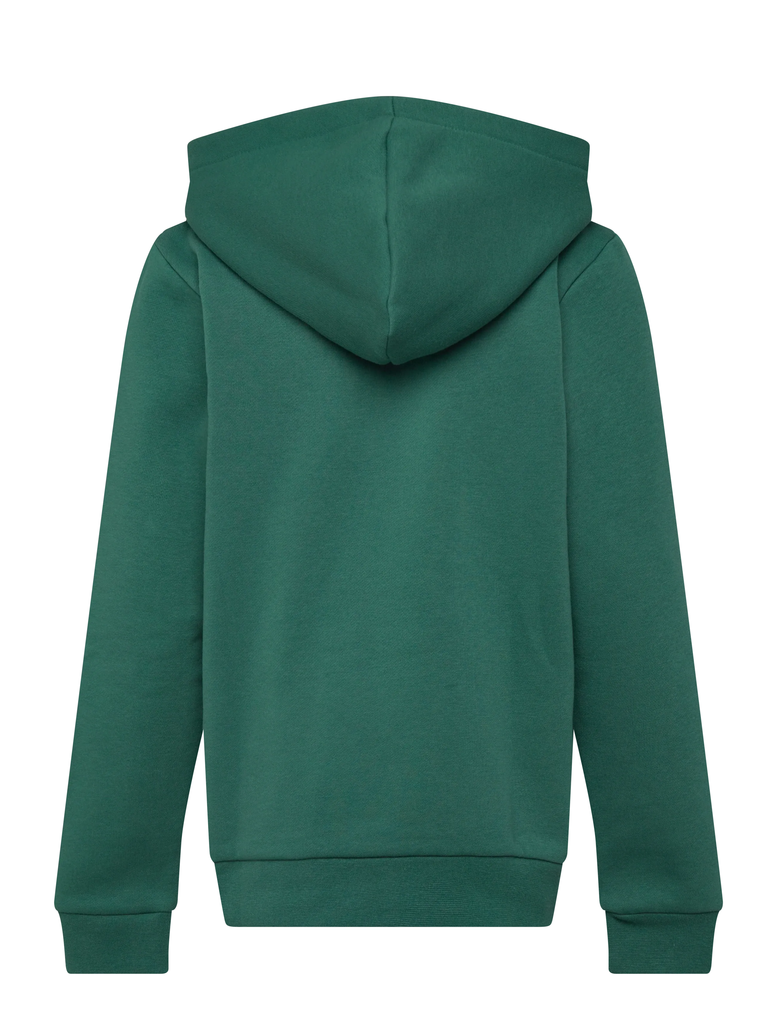 Björn Borg - BORG ESSENTIAL 1 ZIP HOODIE - huvtröjor - posy green - 1