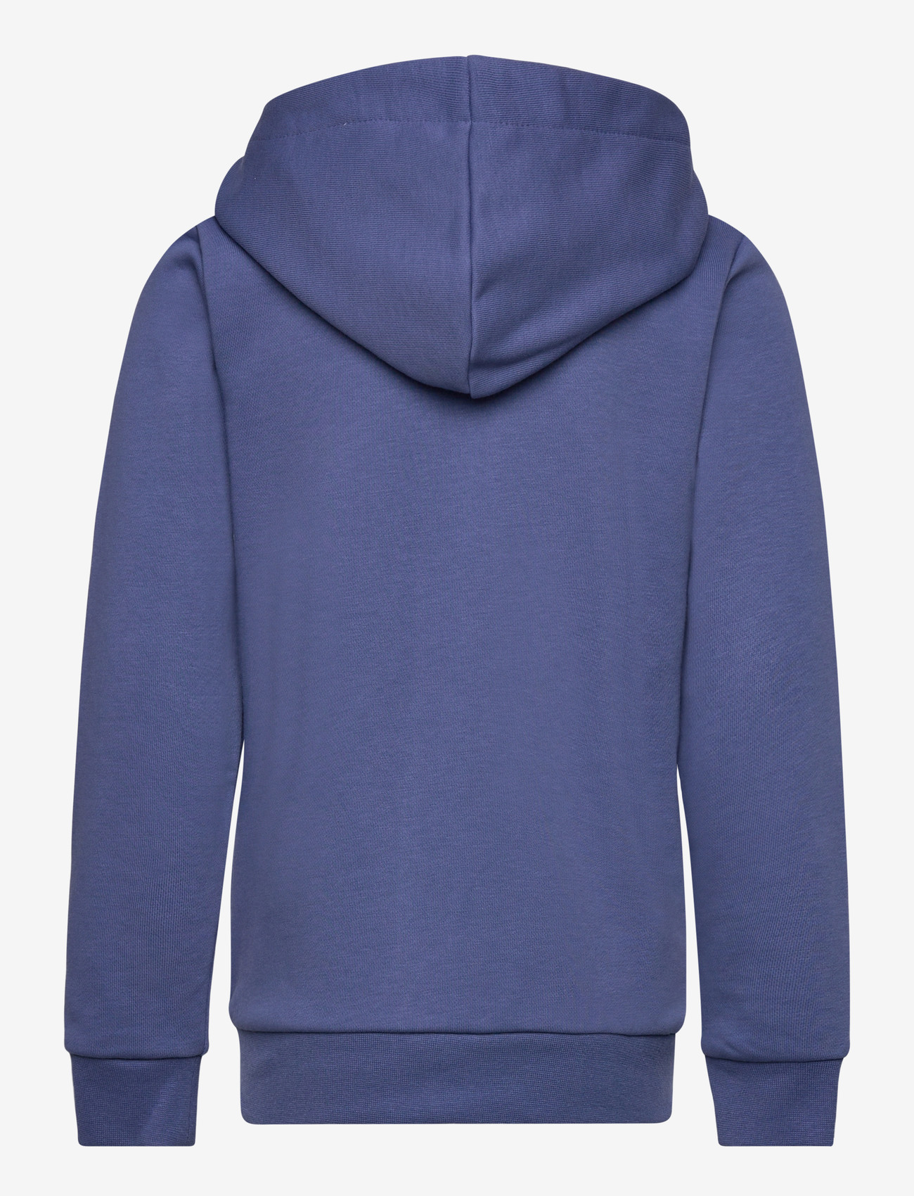 Björn Borg - BORG ESSENTIAL 4 ZIP HOODIE - isolierte jacken - coastal fjord - 1