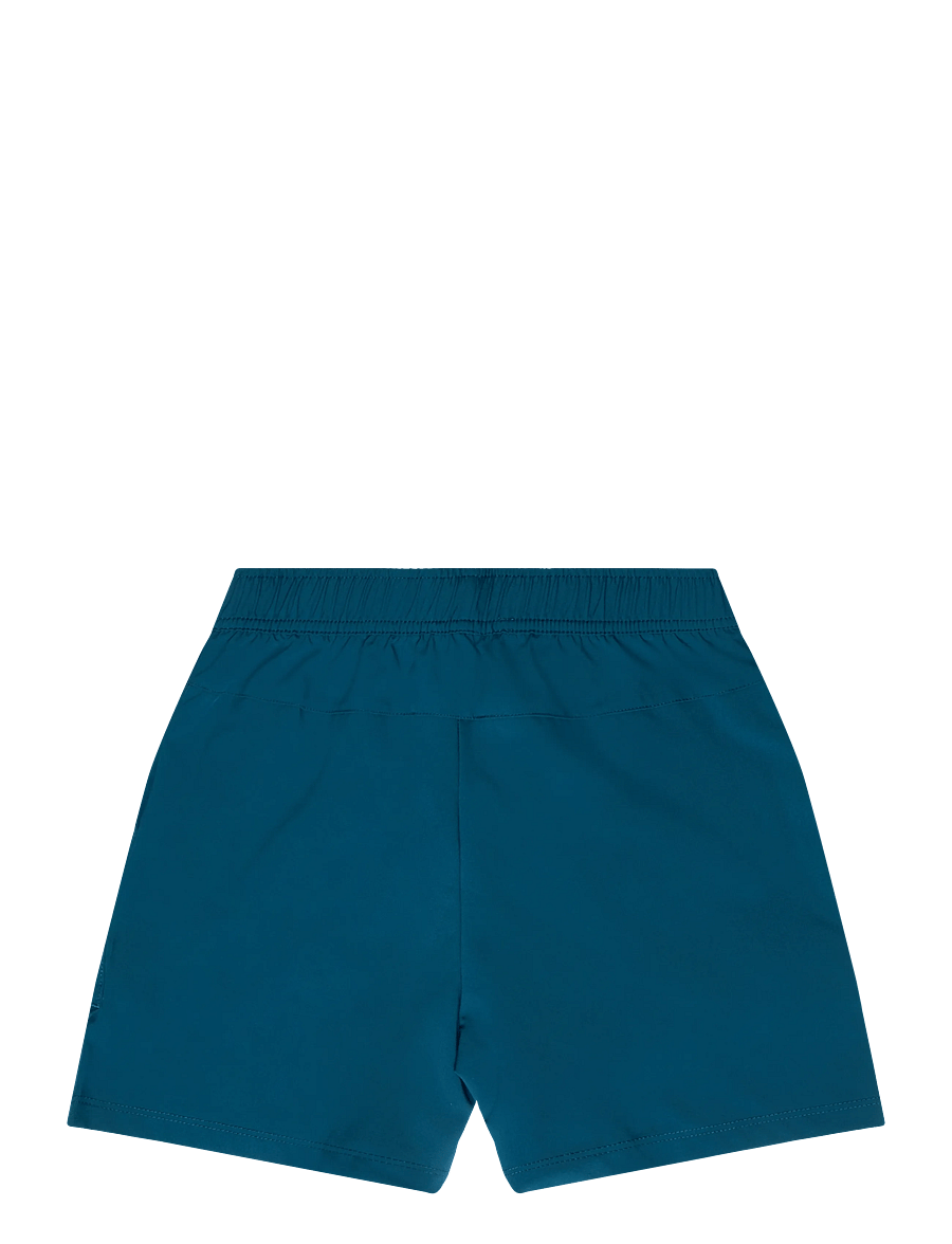 Björn Borg - ACE RACQUET SHORTS - sportsshorts - reflecting pond - 1