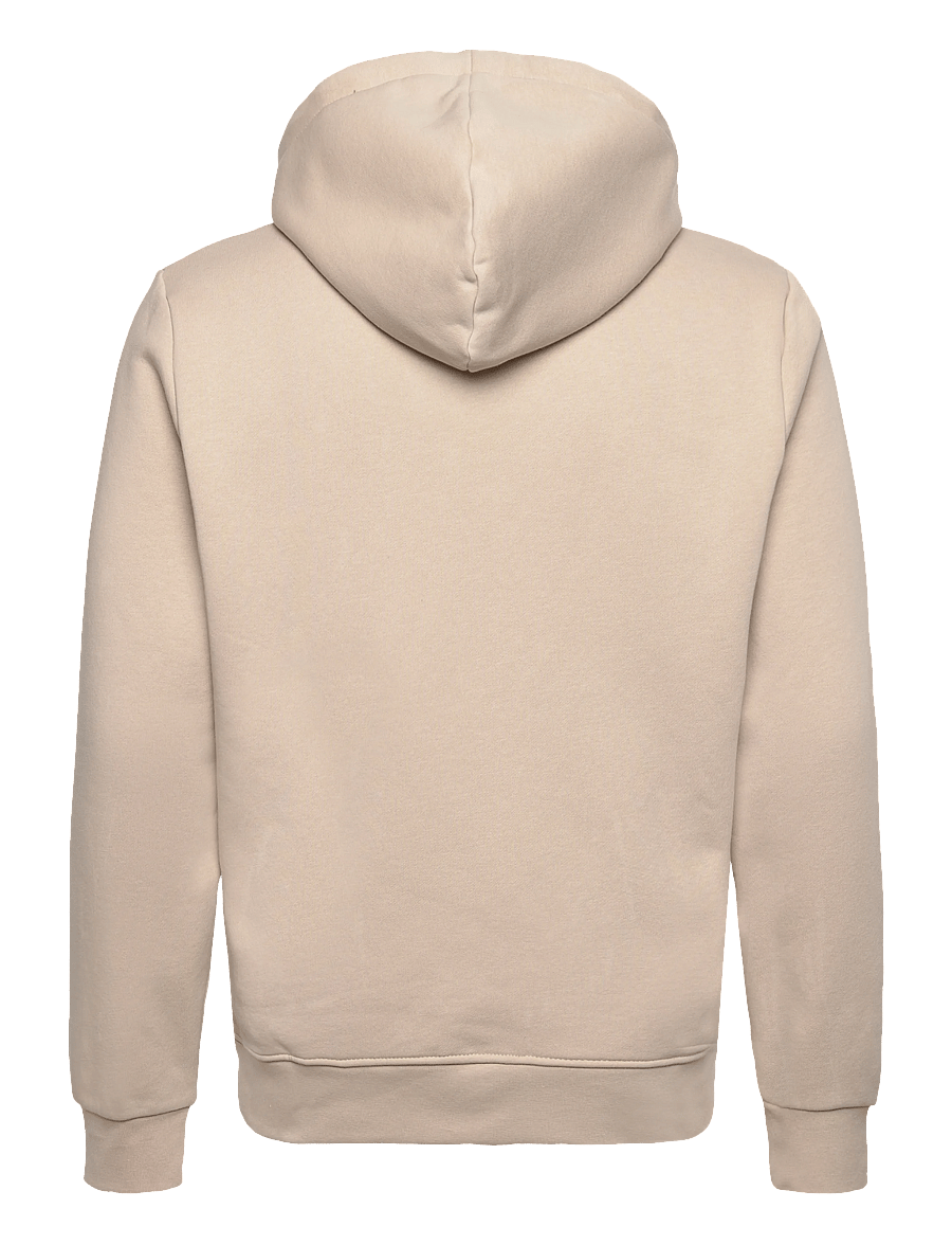 Björn Borg - BORG ESSENTIAL 3 HOODIE - oberteile - feather gray - 1
