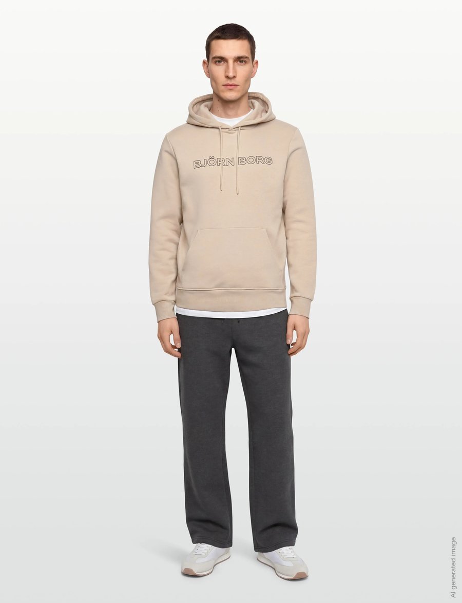 Björn Borg - BORG ESSENTIAL 3 HOODIE - sweatshirts - feather gray - 0
