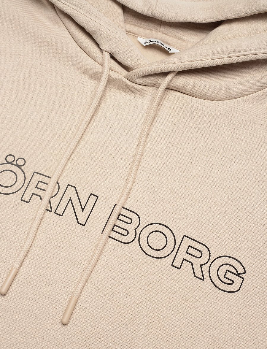 Björn Borg - BORG ESSENTIAL 3 HOODIE - oberteile - feather gray - 2