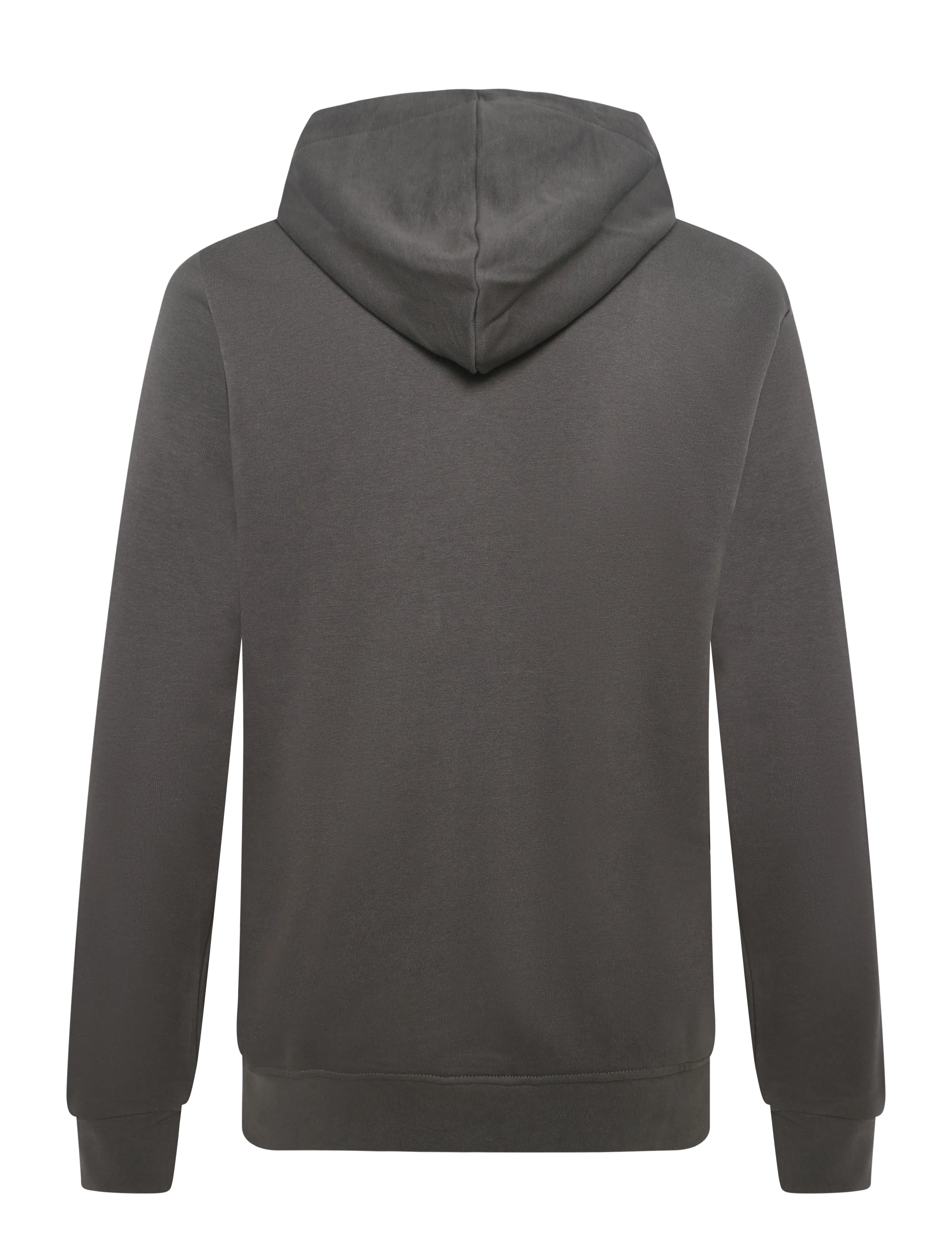 Björn Borg - BORG ESSENTIAL 4 HOODIE - huvtröjor - asphalt - 1