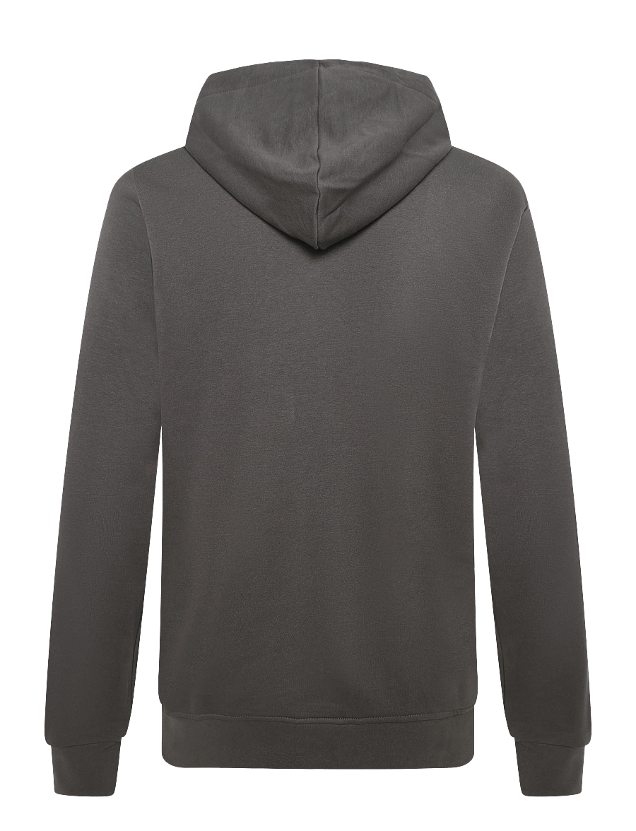 Björn Borg - BORG ESSENTIAL 4 HOODIE - huvtröjor - asphalt - 1