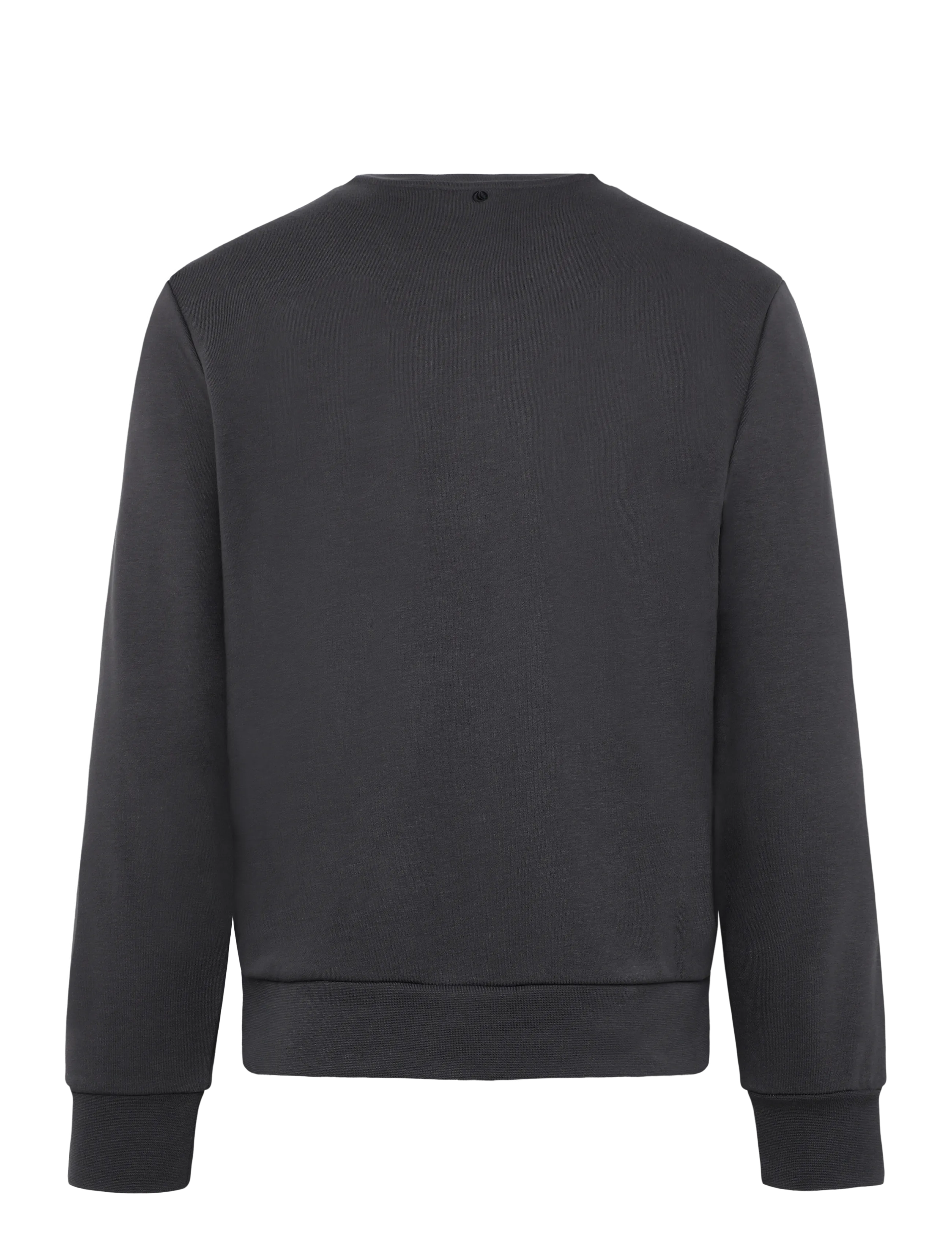 Björn Borg - BORG ESSENTIAL 4 SWEATSHIRT - tops - asphalt - 1