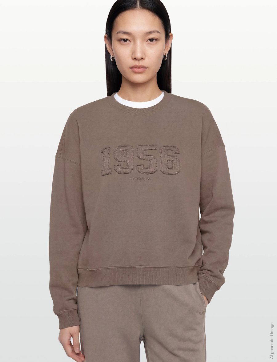 Björn Borg - STUDIO OVERSIZED SWEATSHIRT - oberteile - falcon - 3