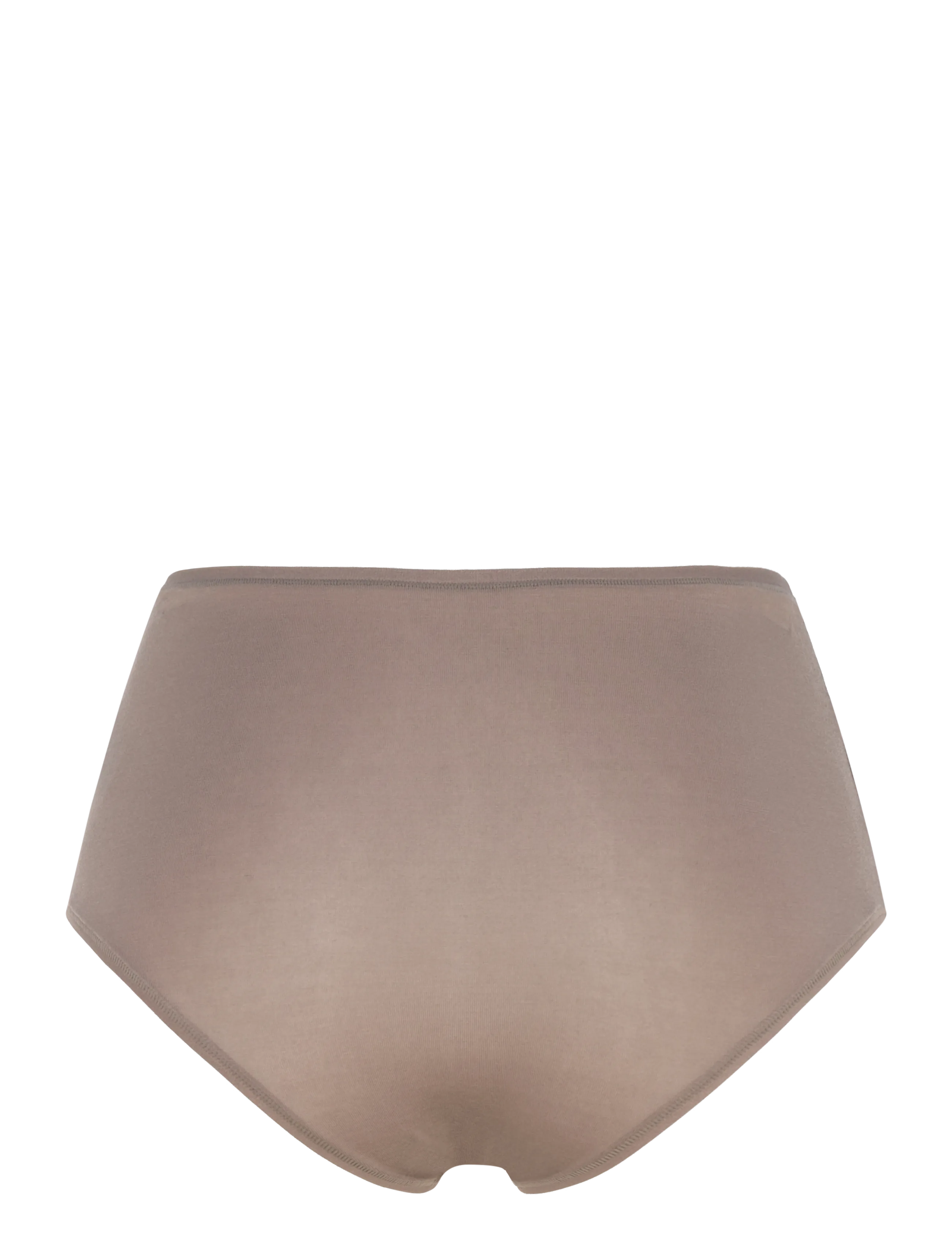 Björn Borg - SOFT TOUCH HIGHWAIST BRIEF 1p - vidutinio ir aukšto juosmens kelnaitės - falcon - 1