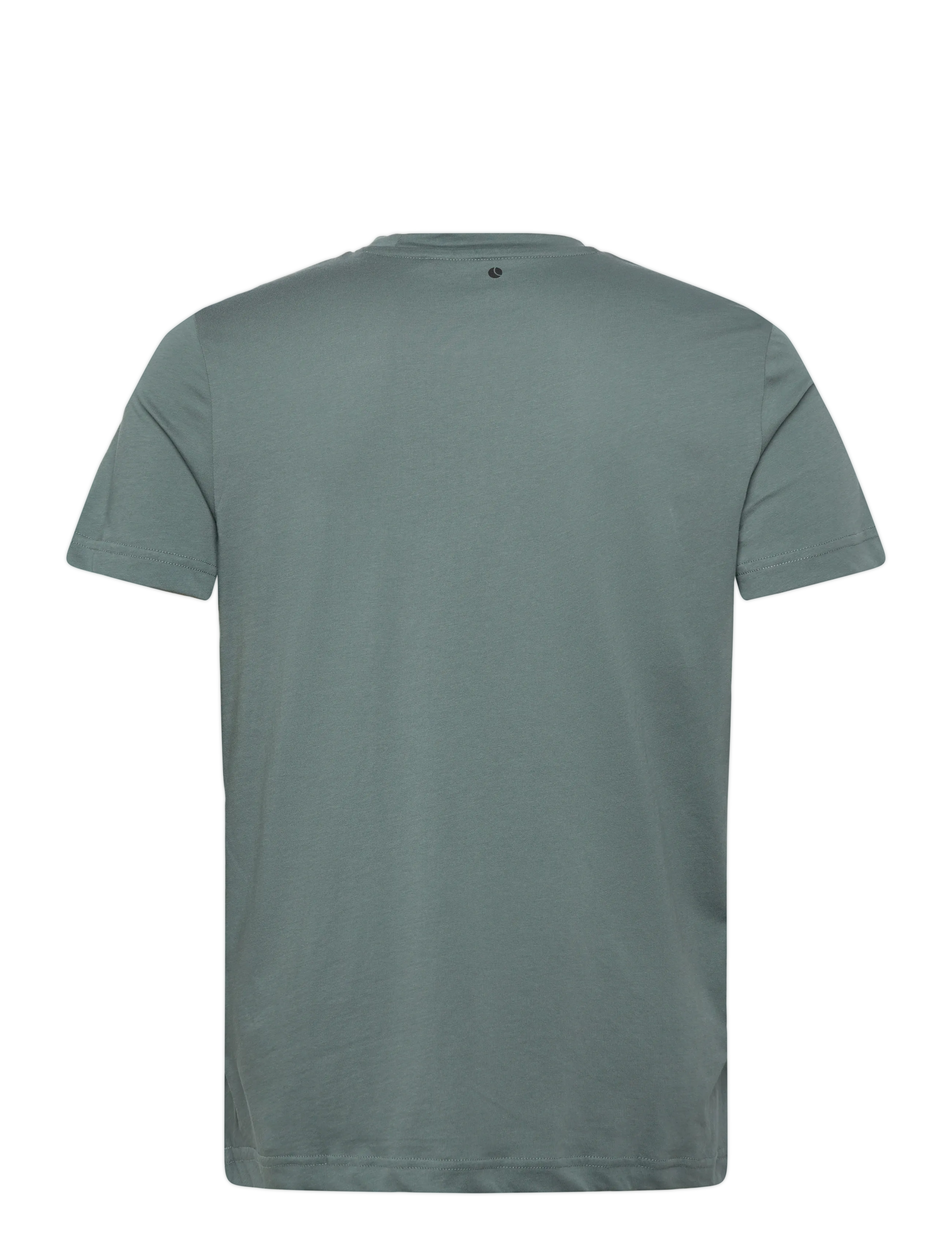 Björn Borg - BORG SPORTS T-SHIRT - t-shirts - balsam green - 1