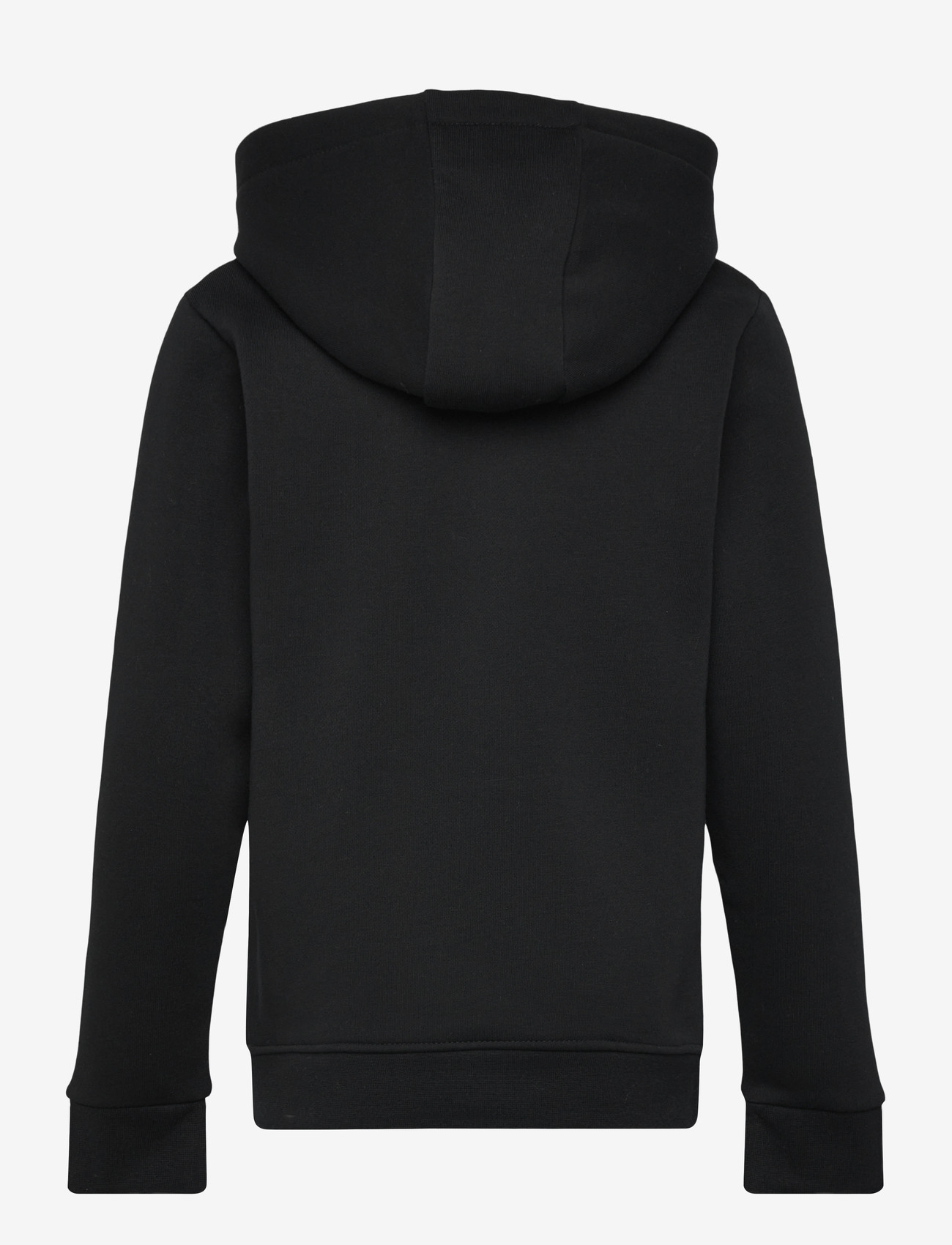 Björn Borg - BORG ESSENTIAL 1 HOODIE - kapuzenpullover - black beauty - 1
