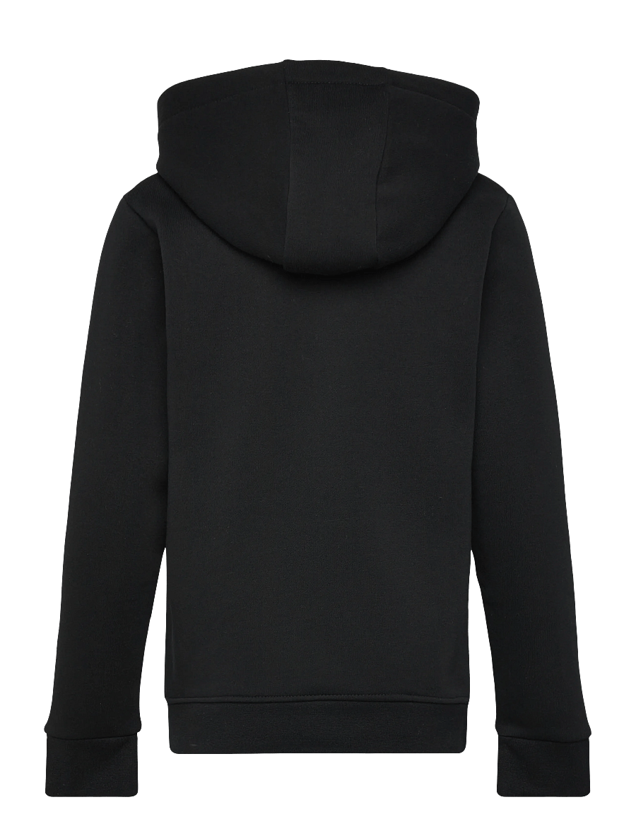 Björn Borg - BORG ESSENTIAL 1 HOODIE - kapuzenpullover - black beauty - 1